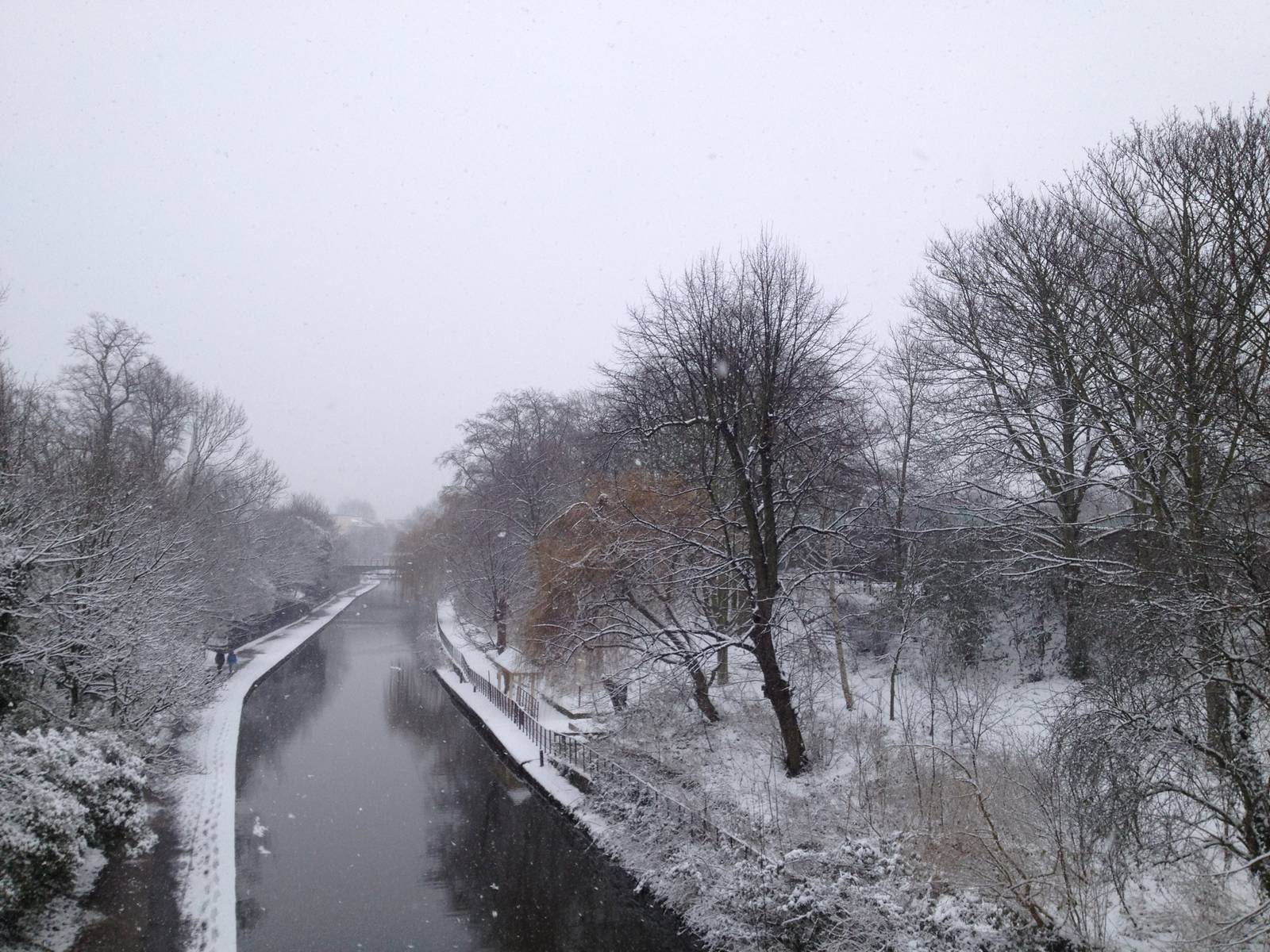 London Zoo January 2013