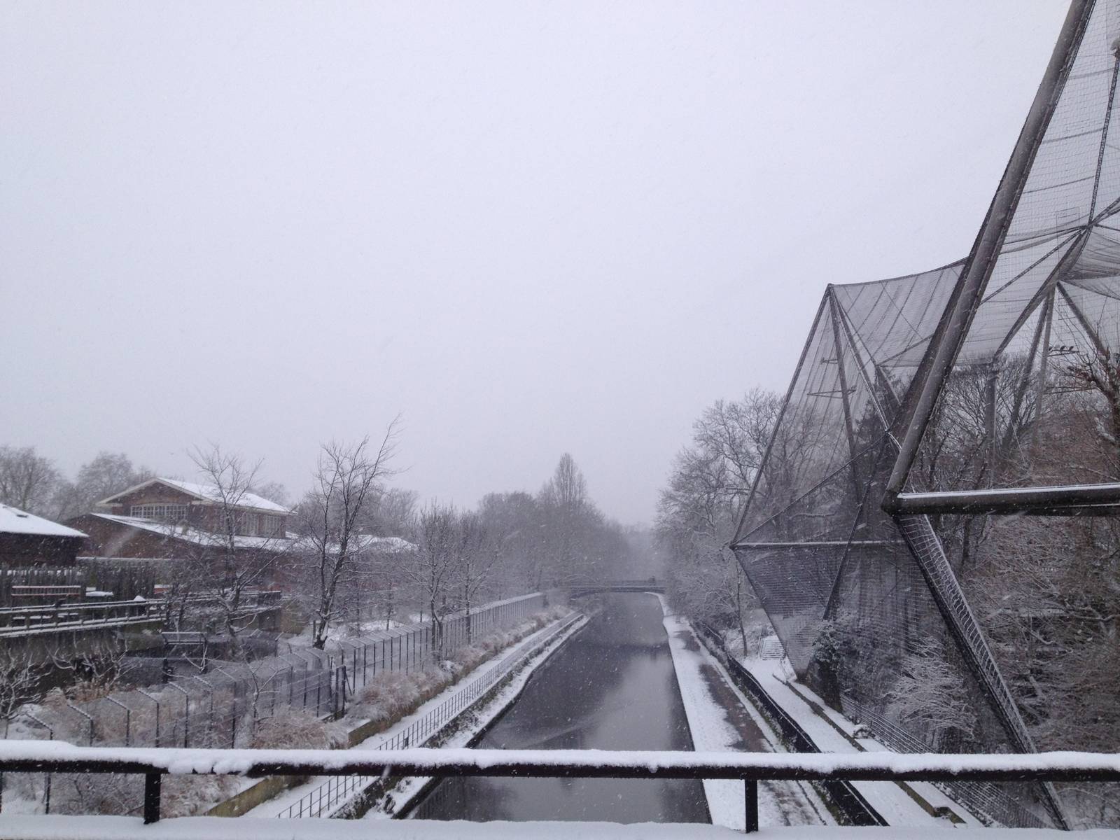 London Zoo January 2013