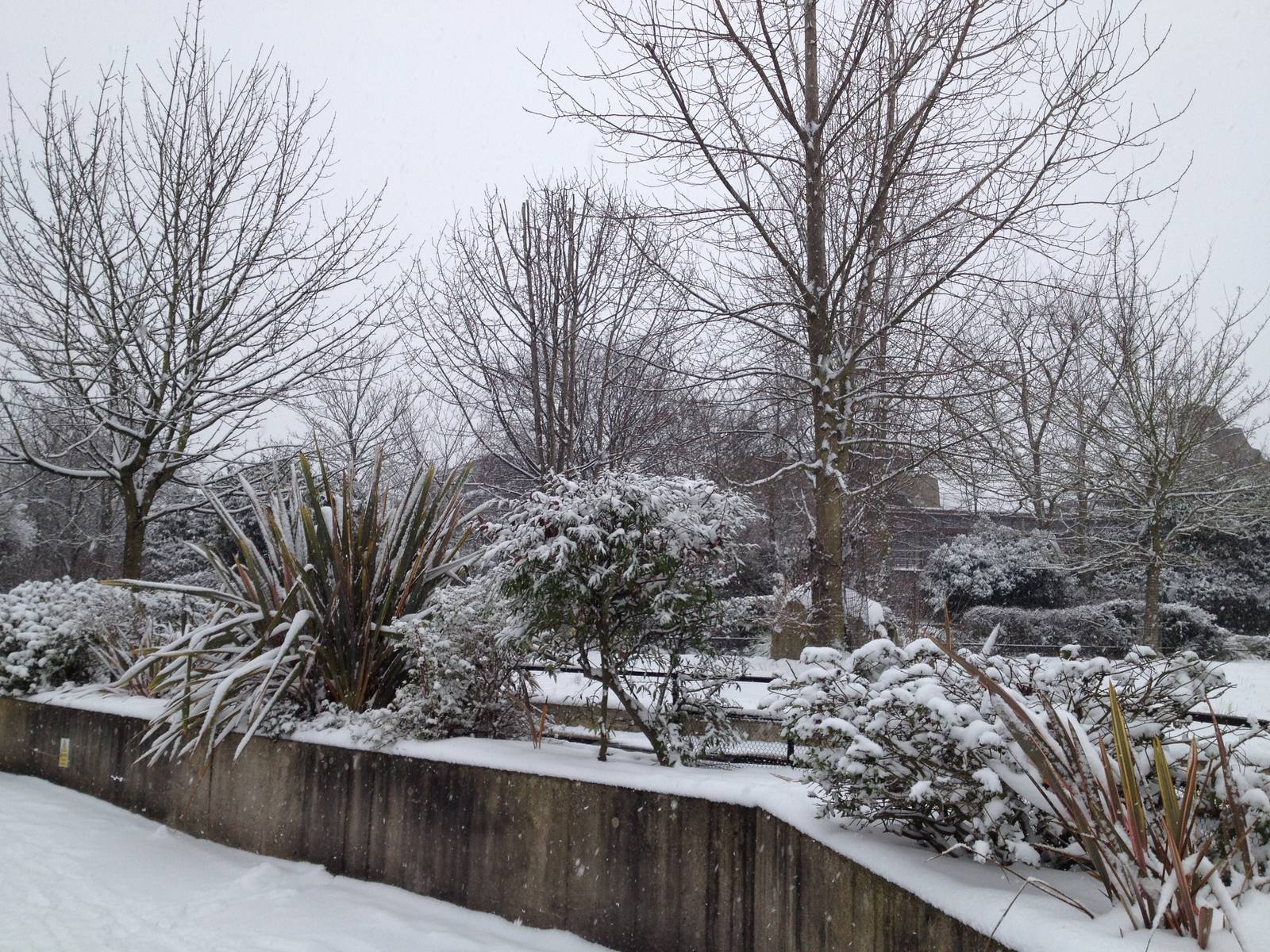 London Zoo January 2013