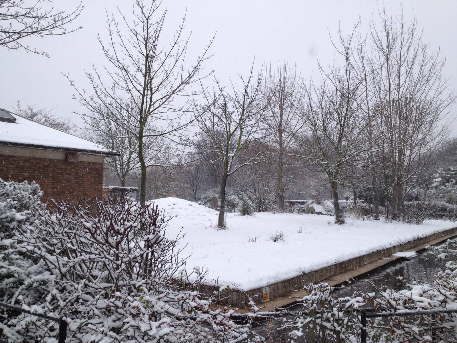 London Zoo January 2013