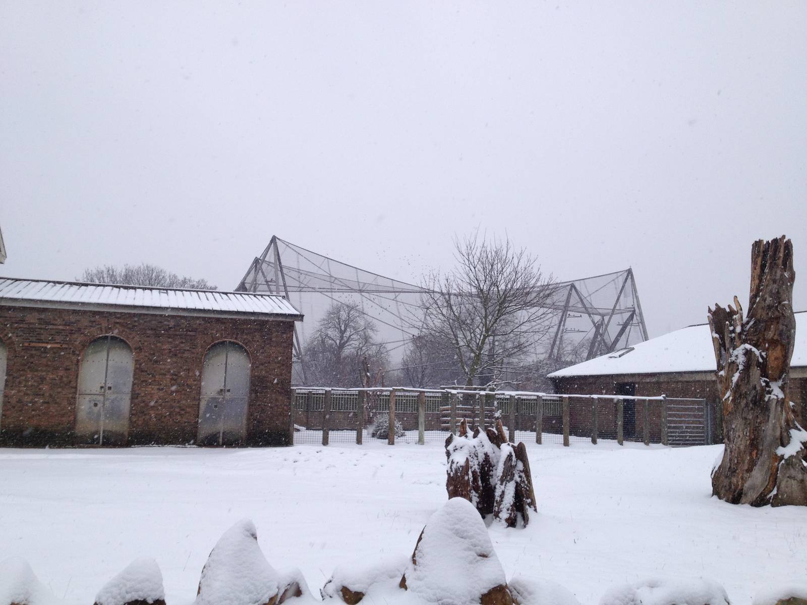 London Zoo January 2013