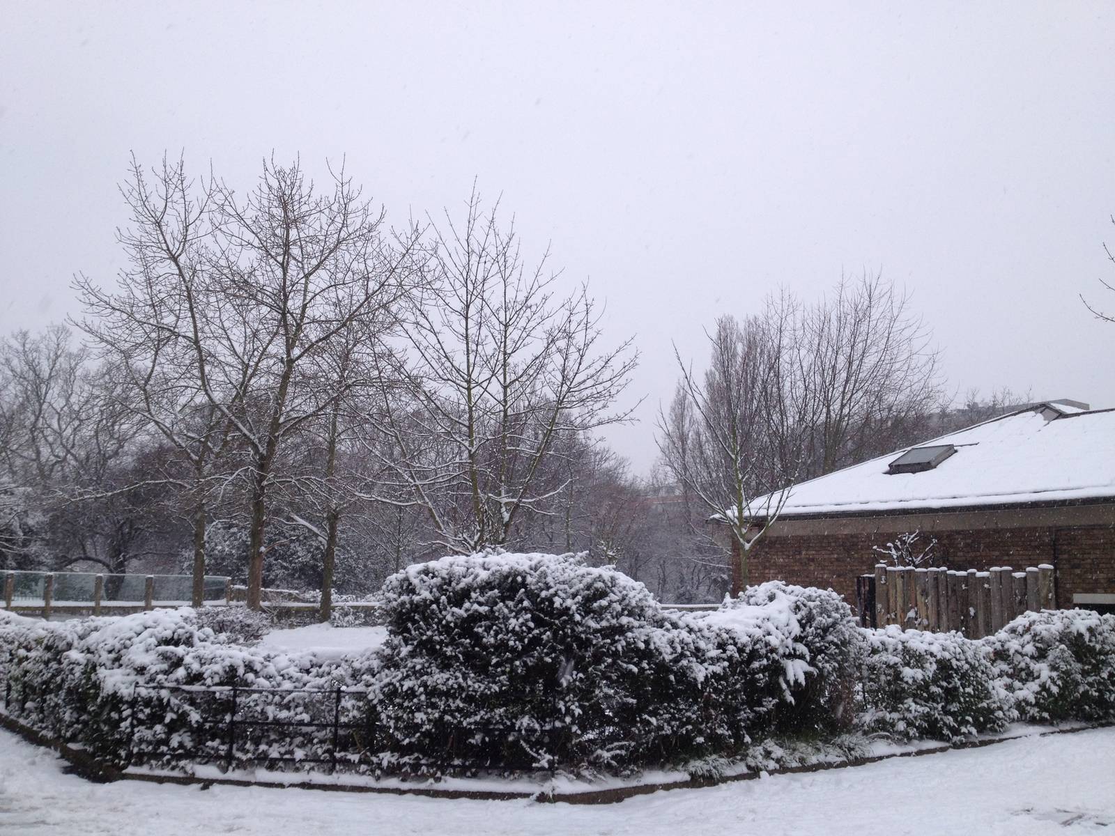 London Zoo January 2013