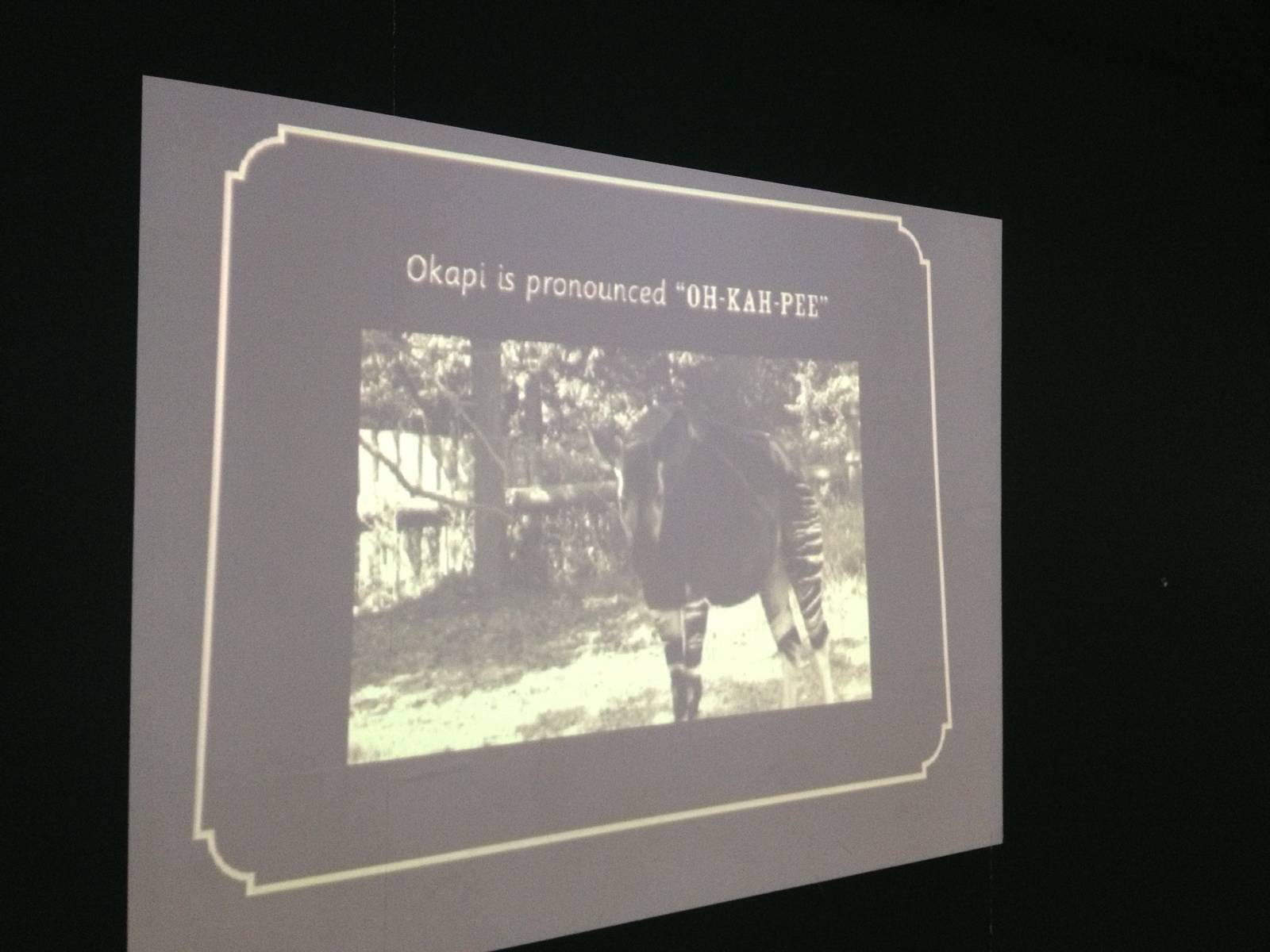 London Zoo January 2013