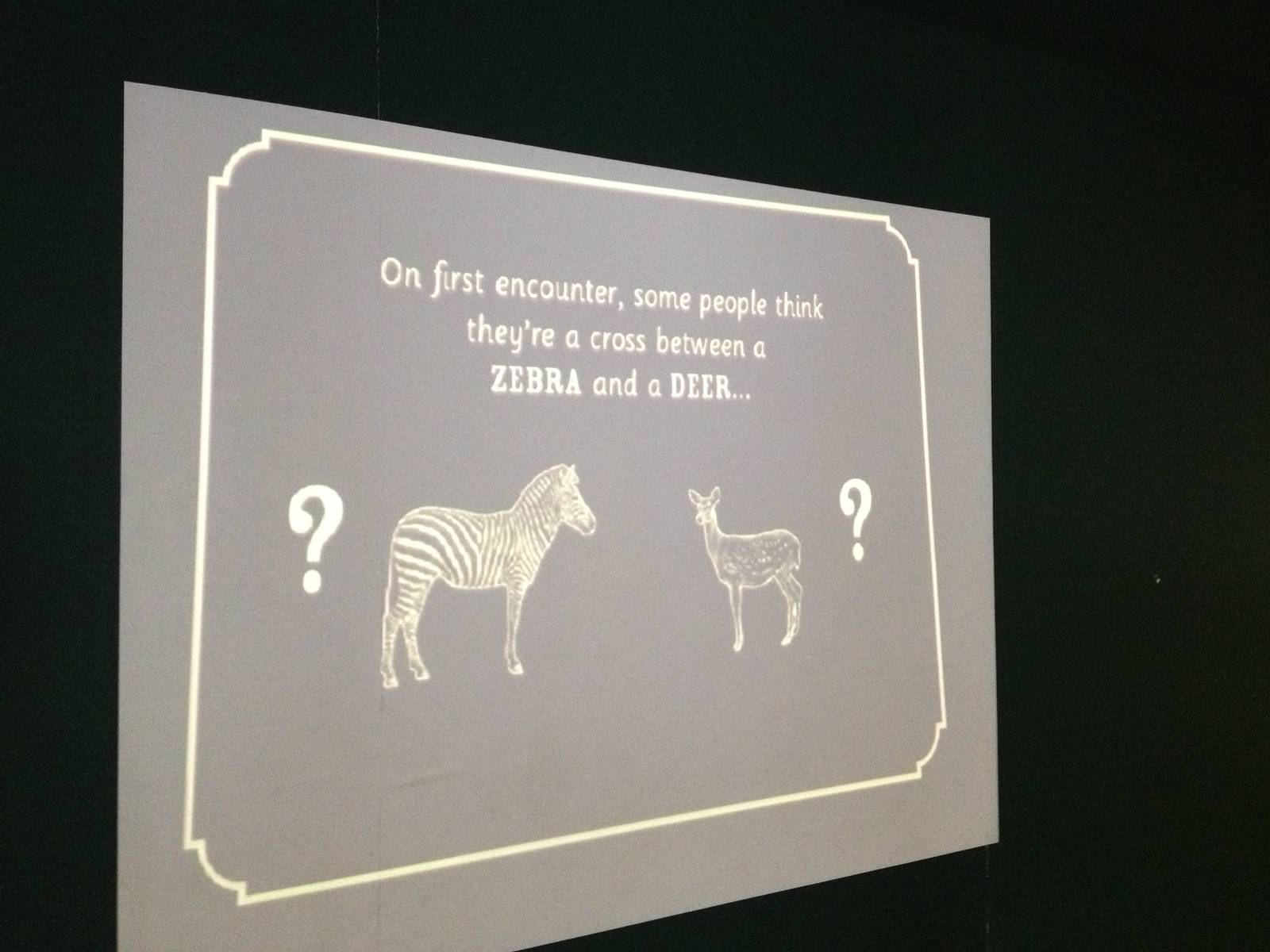 London Zoo January 2013