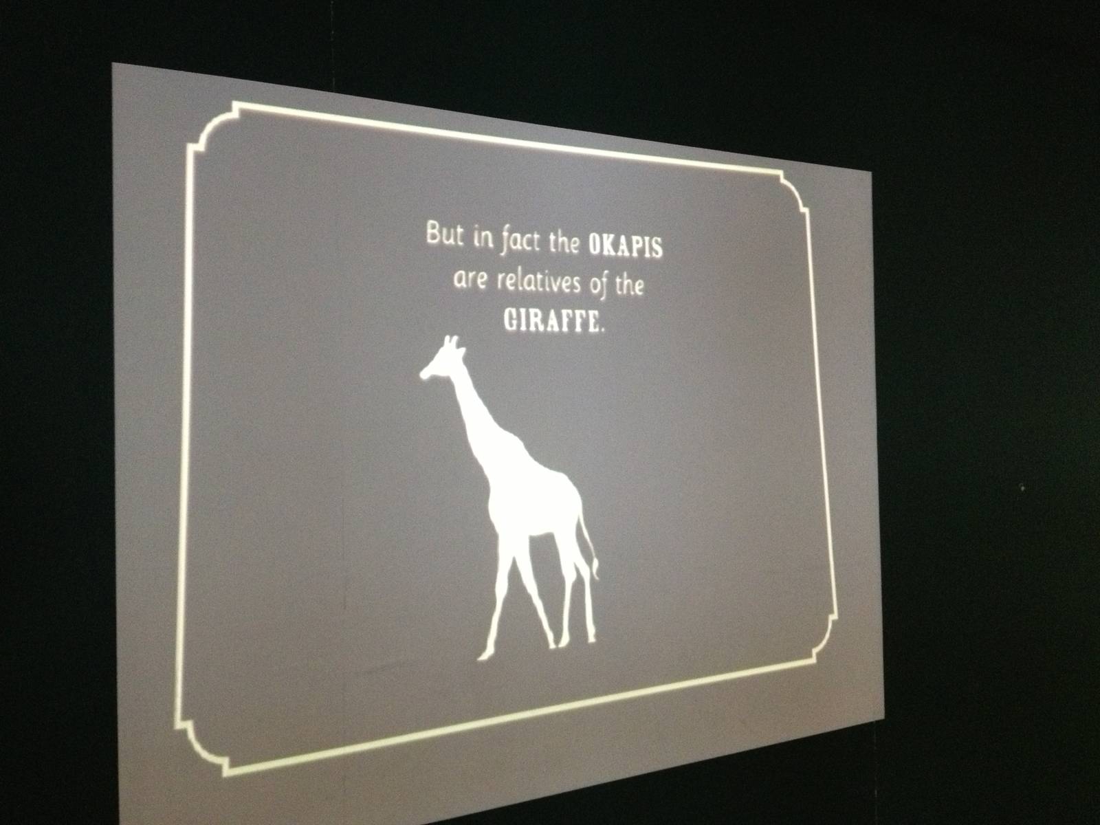 London Zoo January 2013