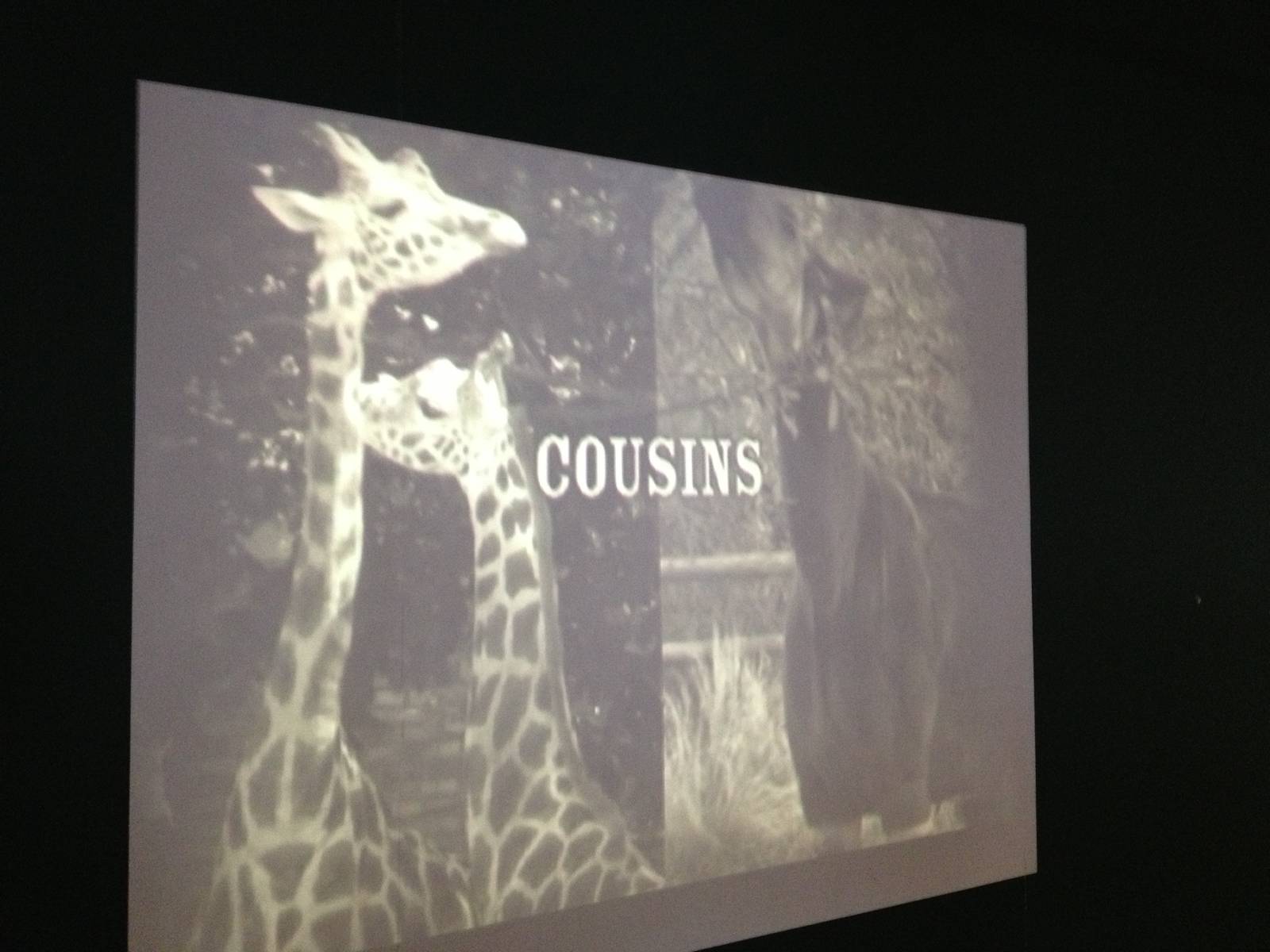 London Zoo January 2013