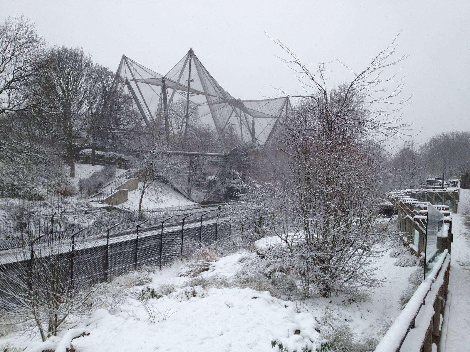 London Zoo January 2013