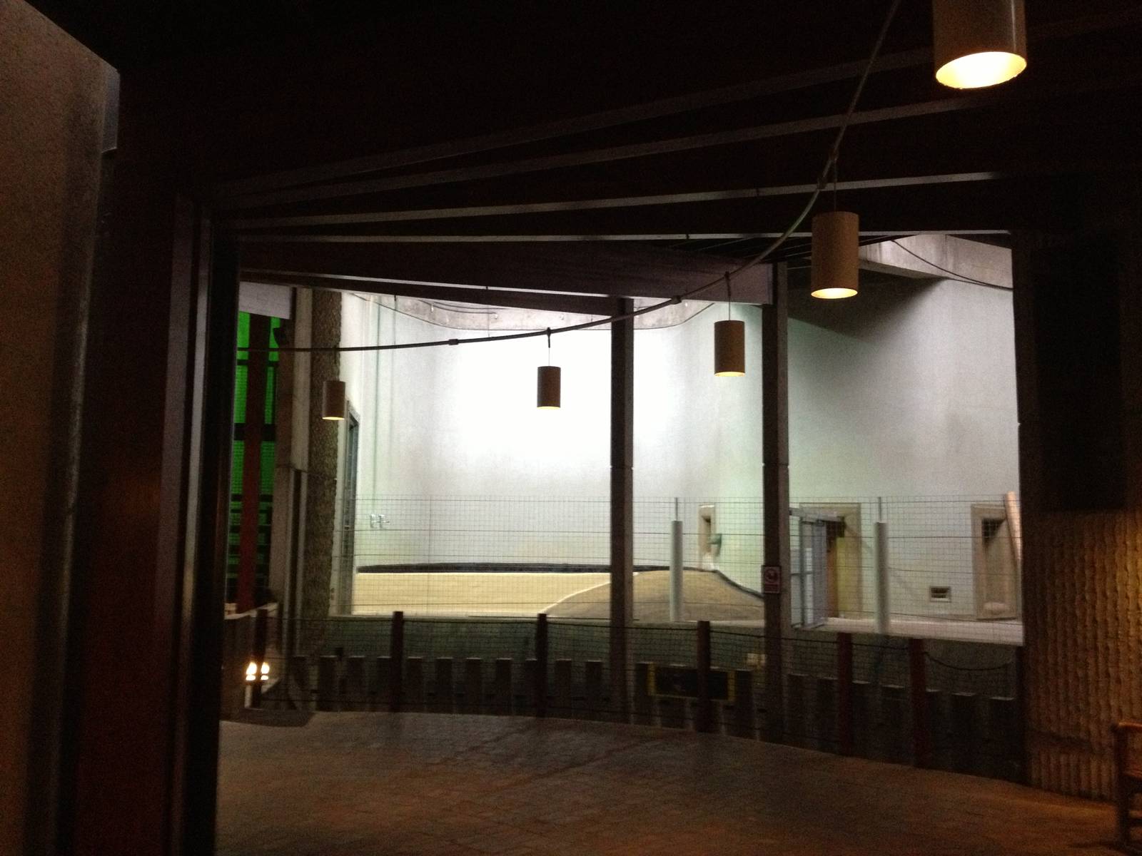 London Zoo January 2013