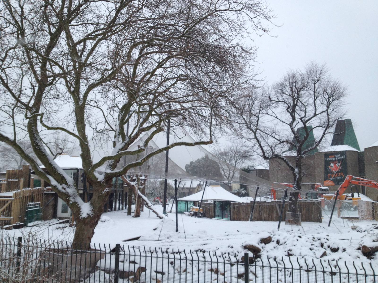 London Zoo January 2013