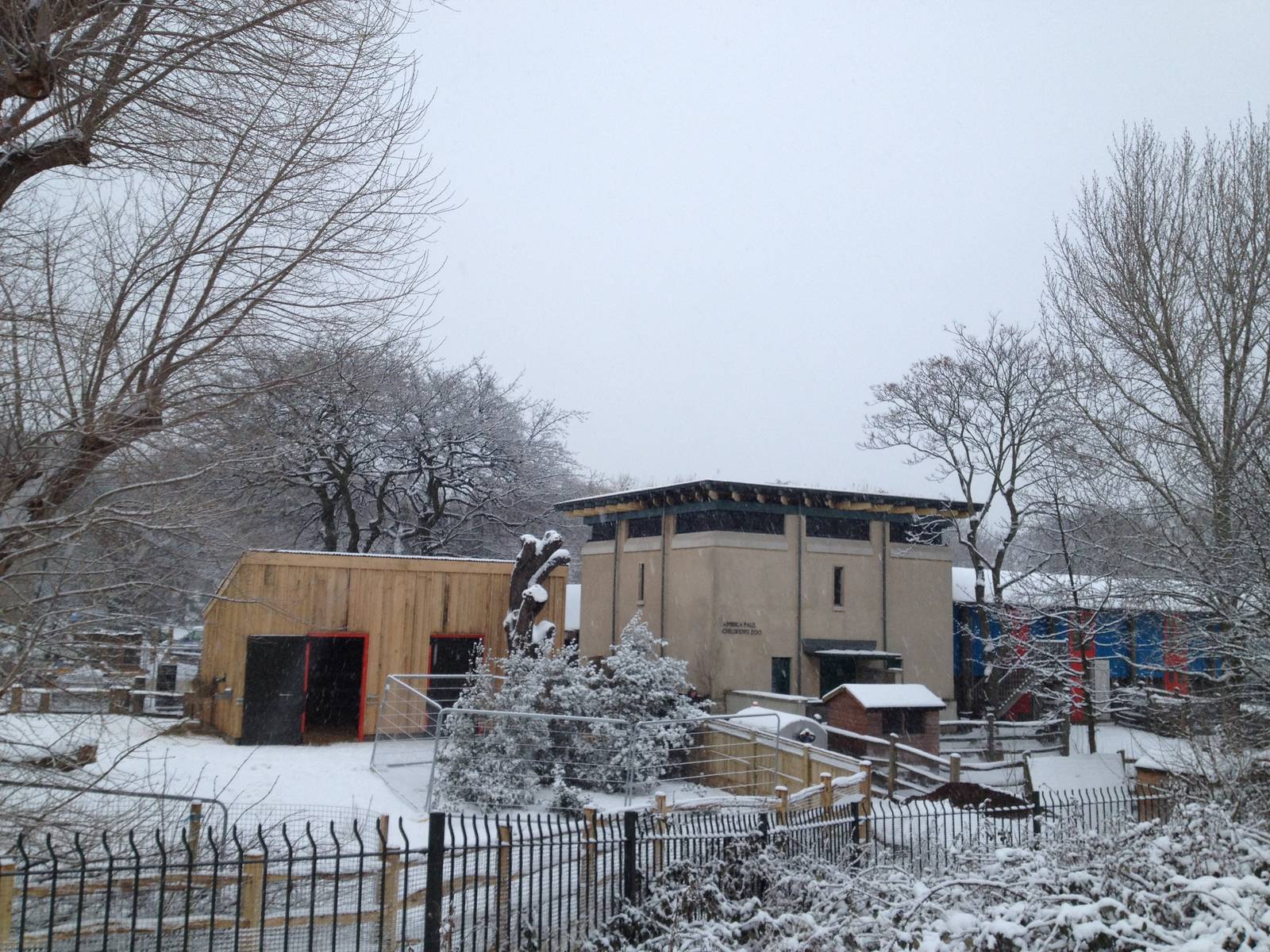 London Zoo January 2013