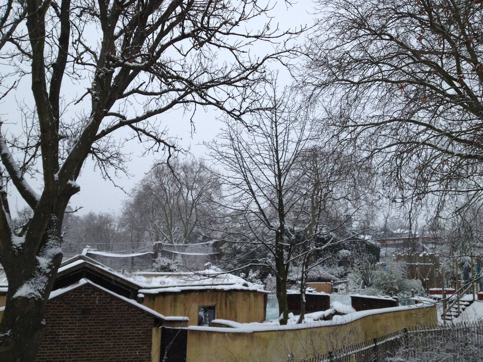 London Zoo January 2013