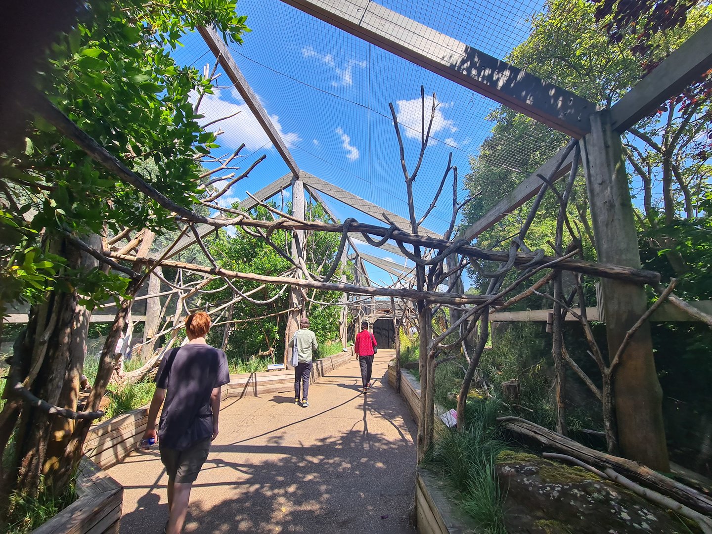 London Zoo - Lemur Exhibit