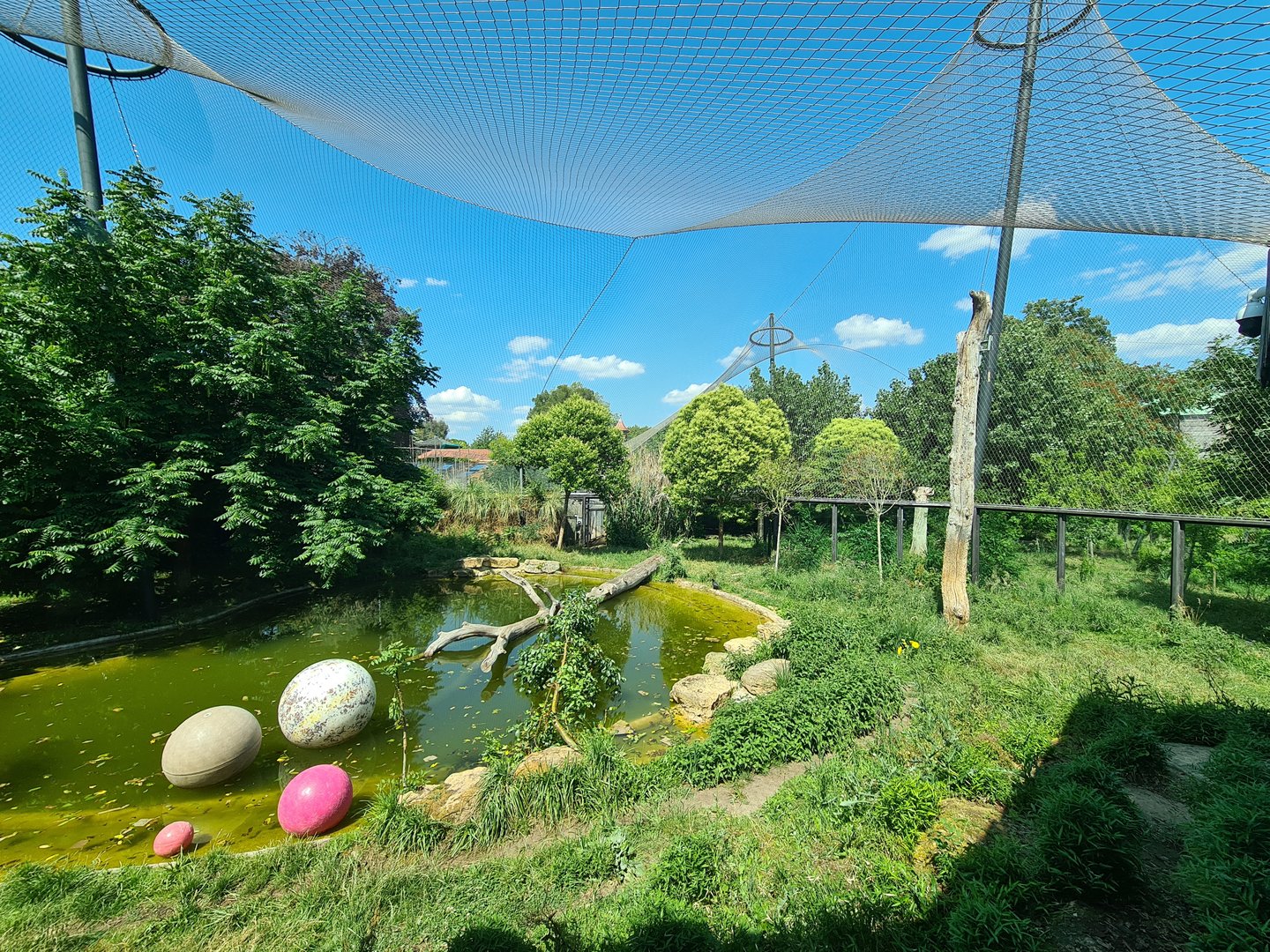 London Zoo - Tiger Exhibit