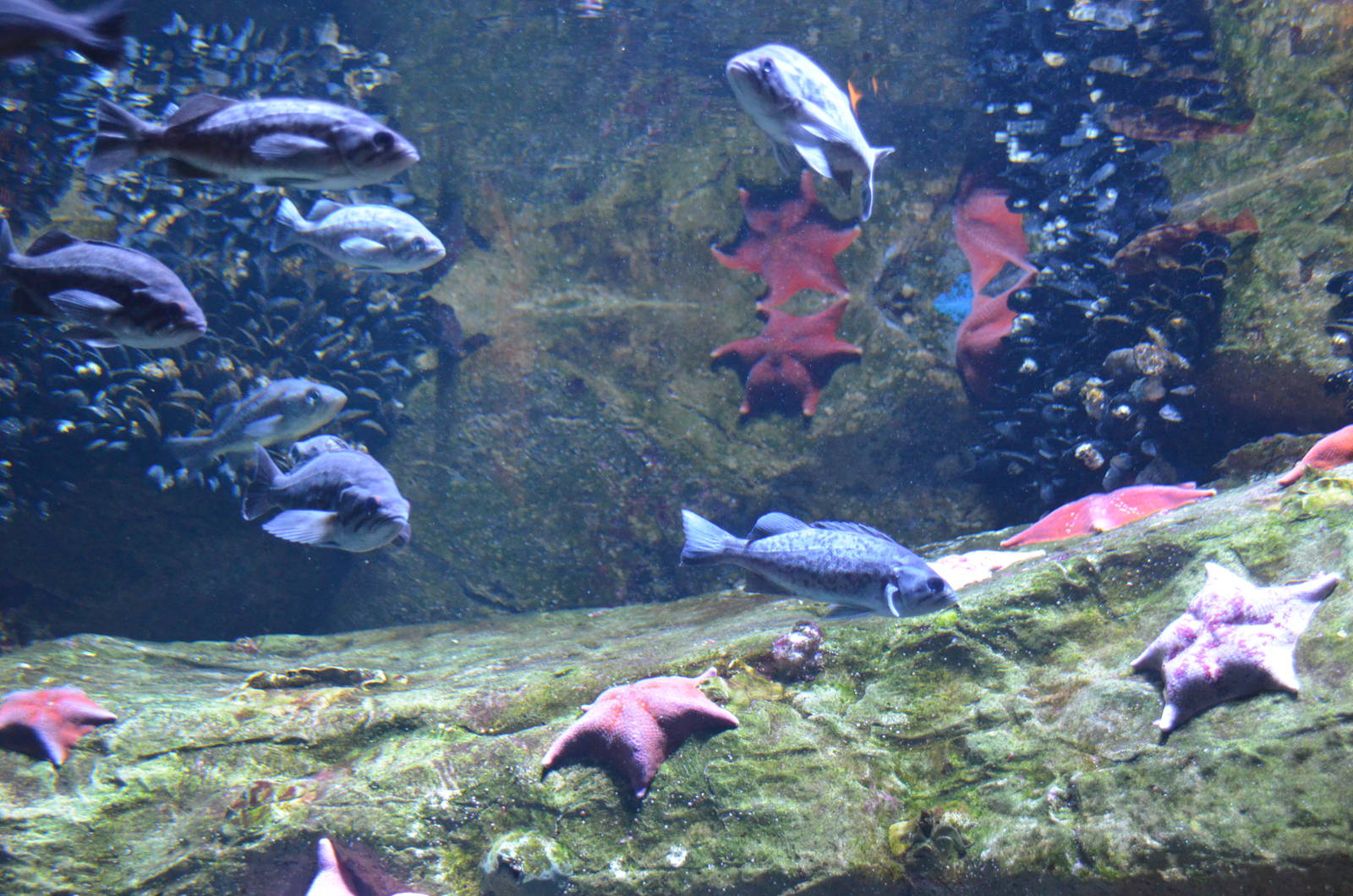 Long Beach Breakwater Display