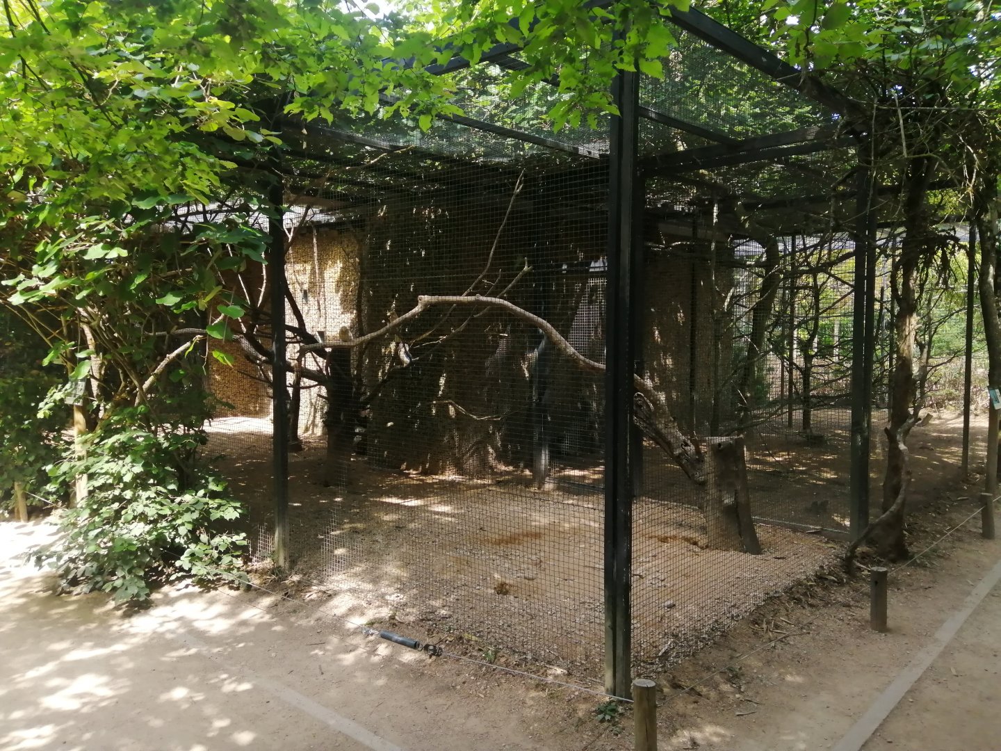 Long-billed Corella and Blue-winged Kookaburra aviary