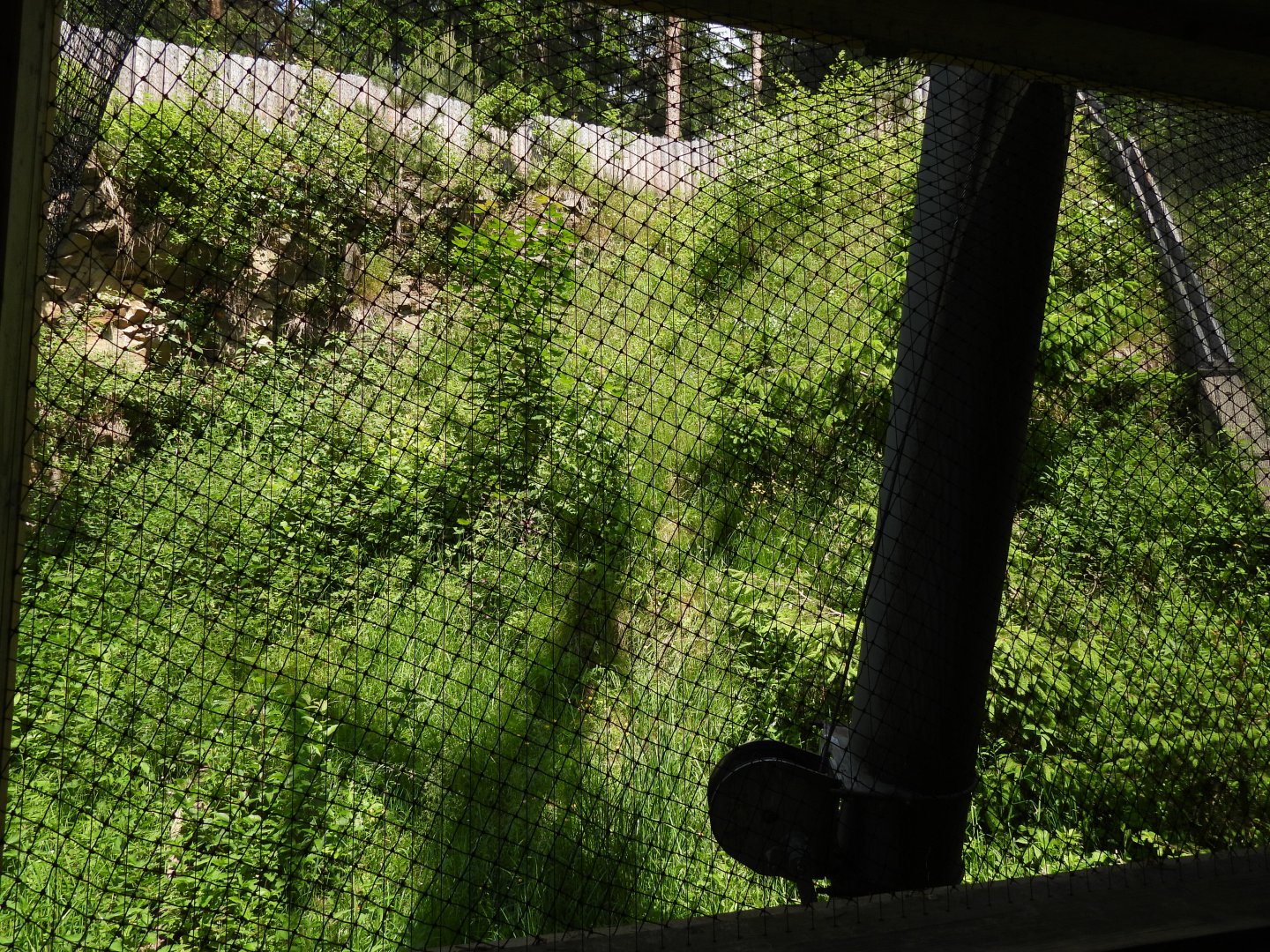Long eared owl exhibit-  Owl aviary at Borova Lada, nationalpark Sumava