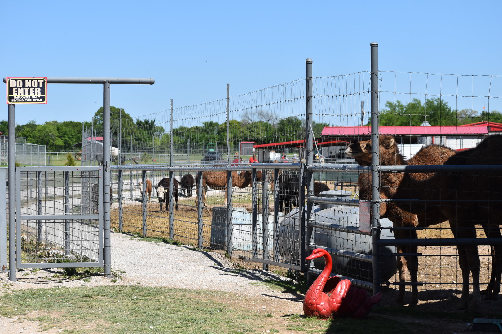 Long Feedable Animal Route