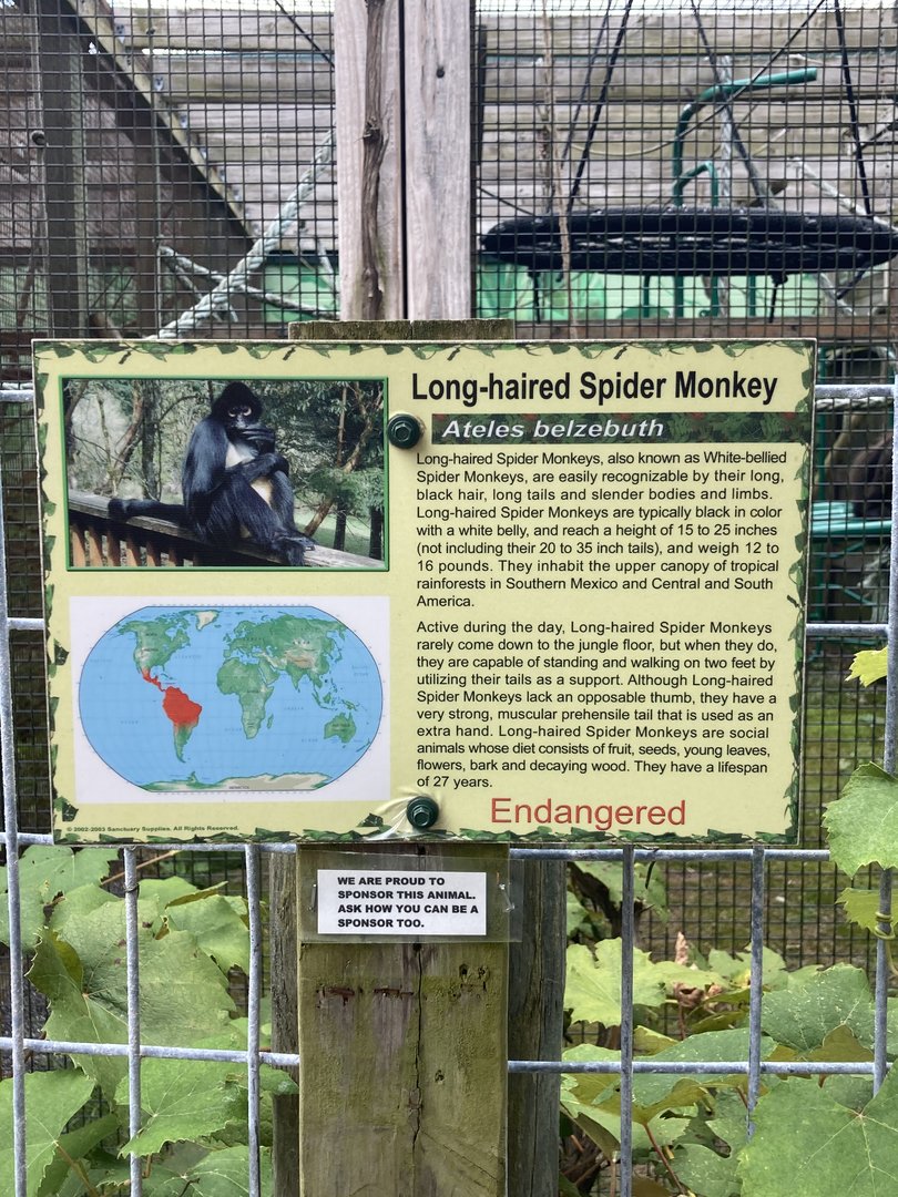 Long Haired / White Bellied Spider Monkey signage