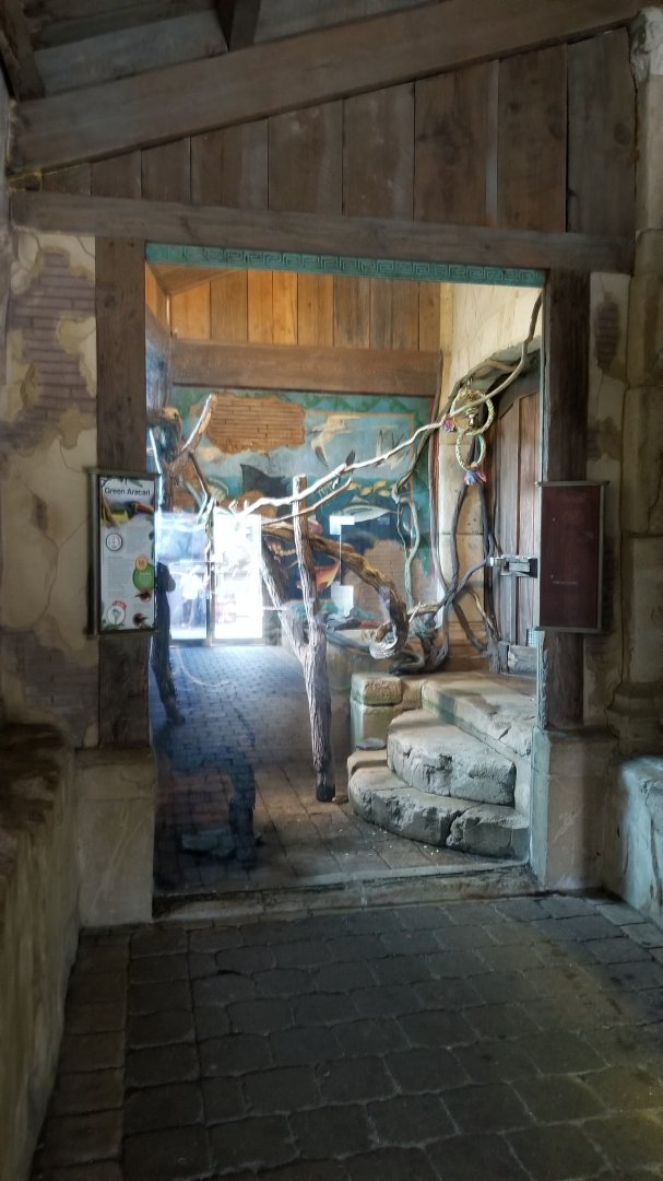 Long Island Aquarium - Ancient Reptile Ruins, green aracari