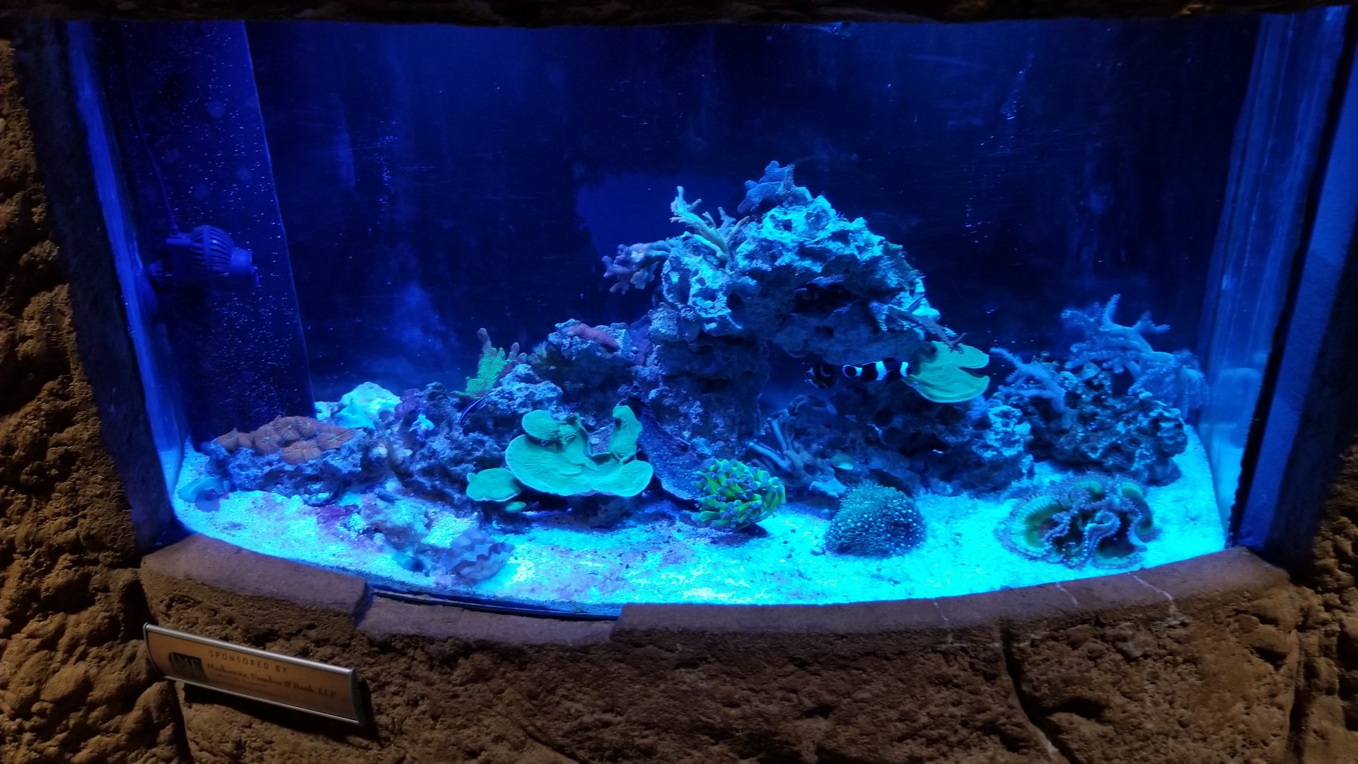 Long Island Aquarium - Aquaculture tank