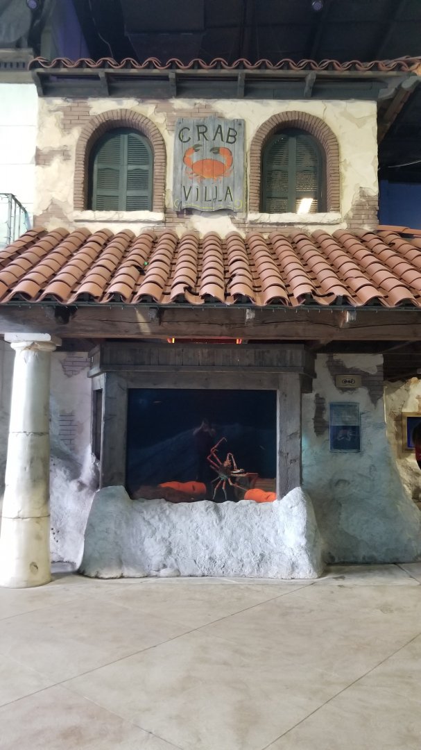 Long Island Aquarium - Crab villa, Japanese spider crab