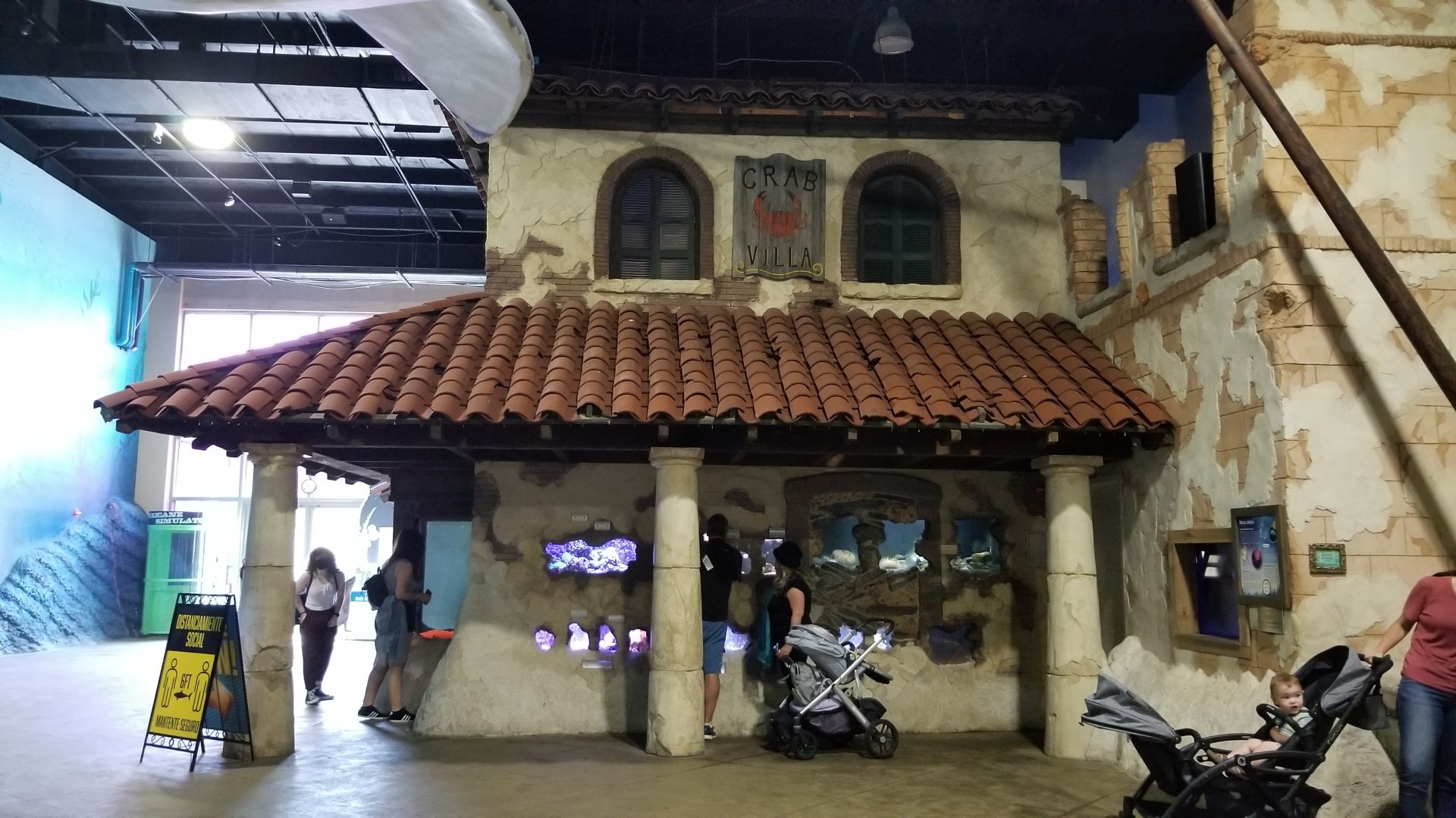 Long Island Aquarium - Crab villa