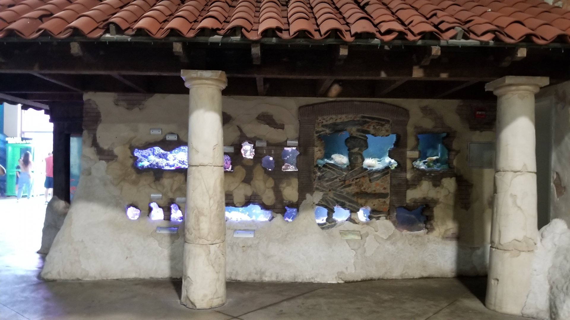 Long Island Aquarium - Crab villa