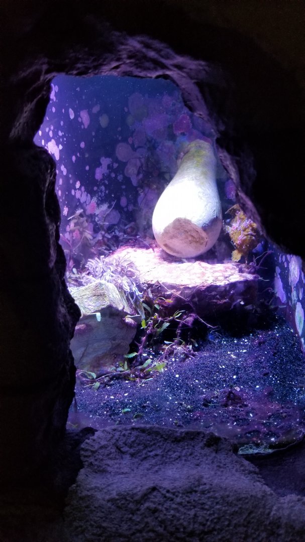 Long Island Aquarium - Crab villa