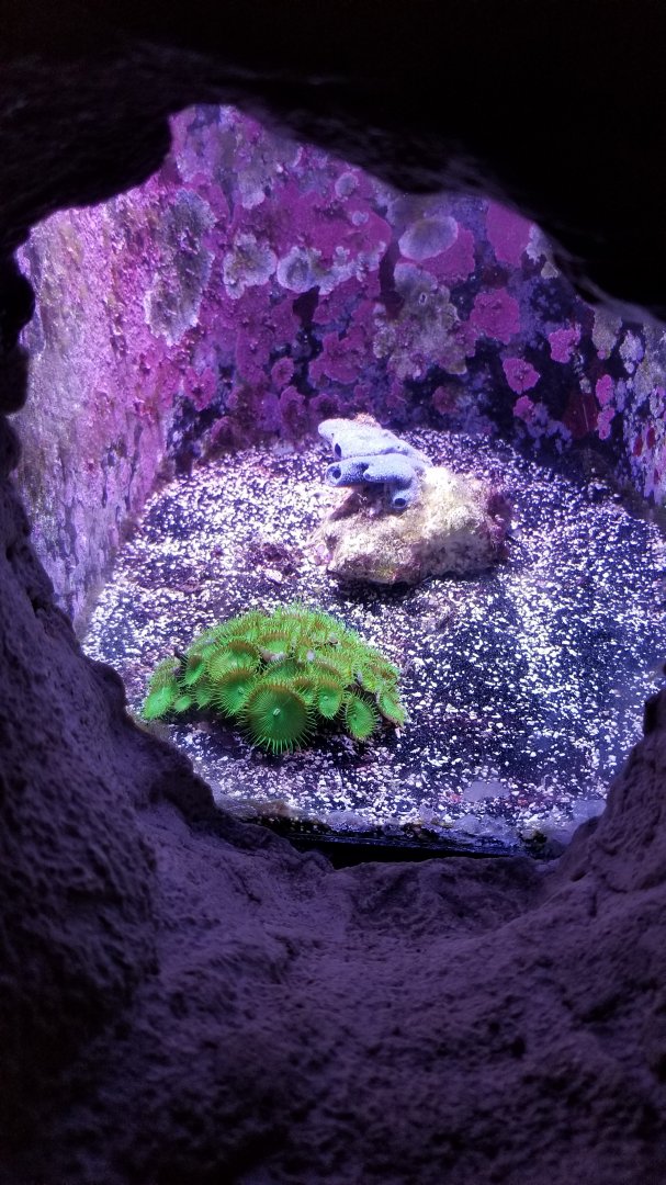 Long Island Aquarium - Crab villa