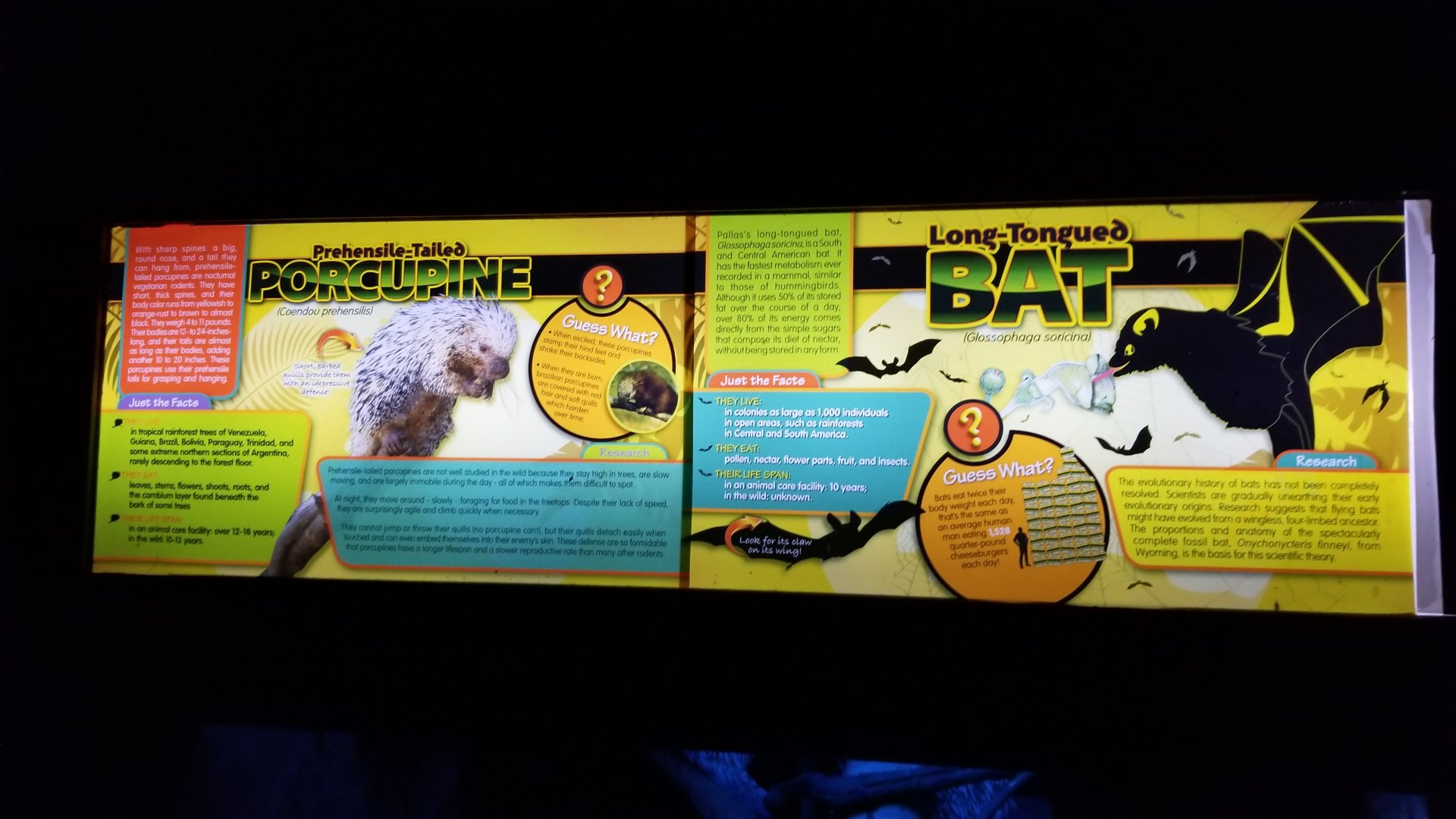 Long Island Aquarium - Creatures of the Night