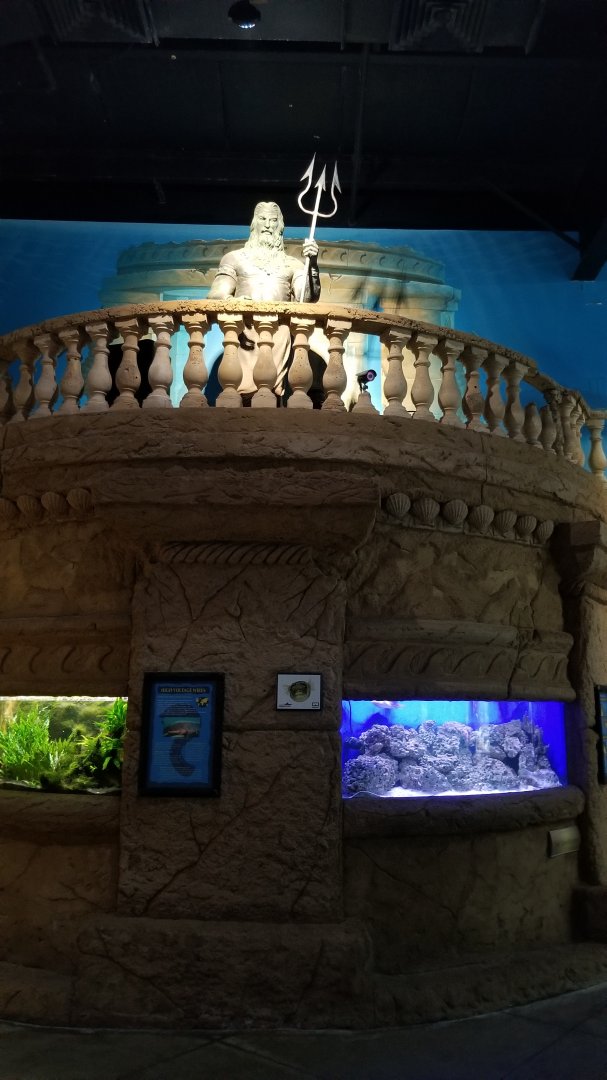 Long Island Aquarium - Electric eel, pufferfish tanks