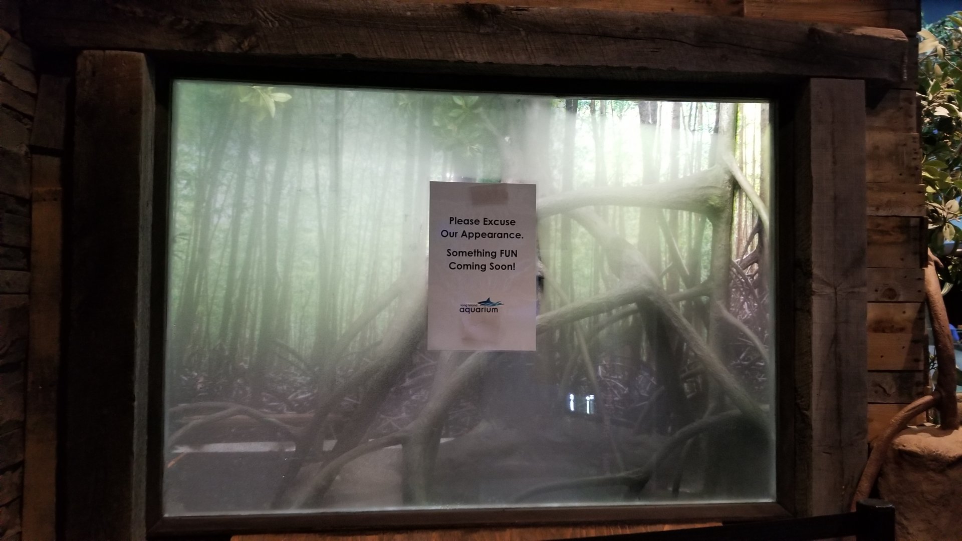 Long Island Aquarium - Empty herp exhibit