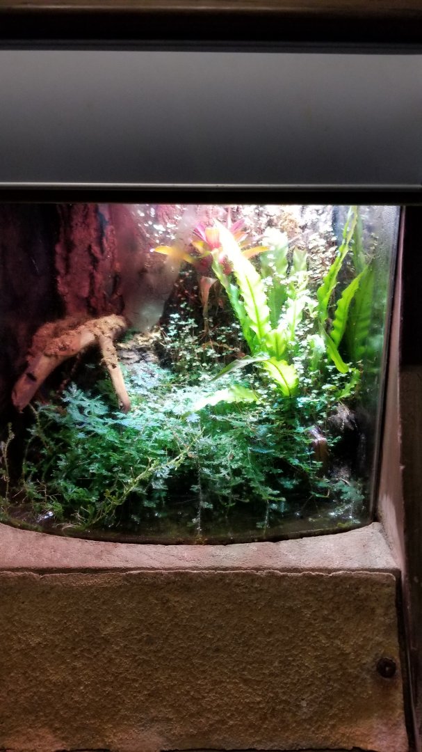 Long Island Aquarium - Empty?