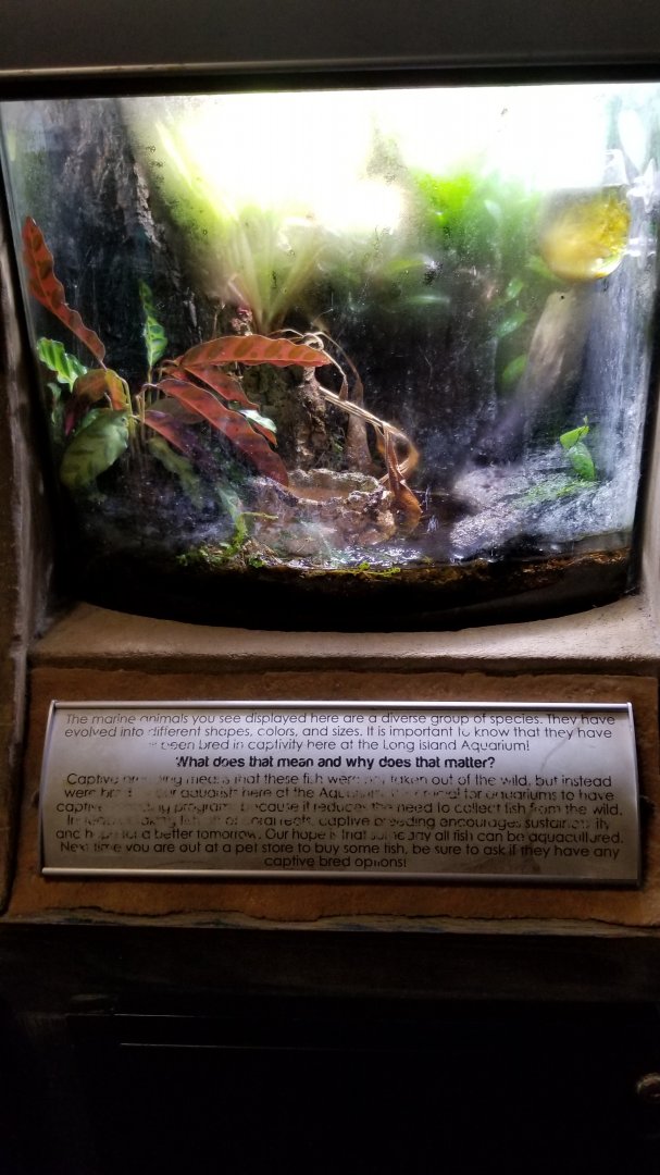 Long Island Aquarium - Empty?