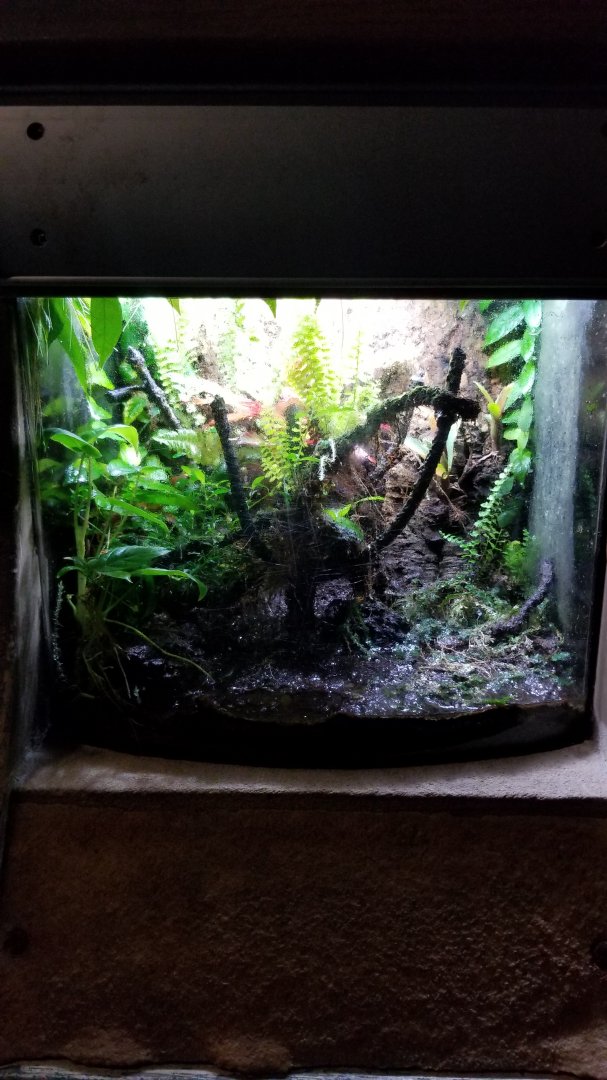 Long Island Aquarium - Empty?