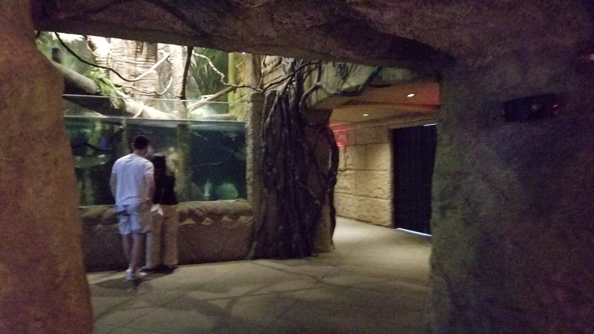 Long Island Aquarium - Exit from Lost City of Atlantis shark exhibit, Amazon tank