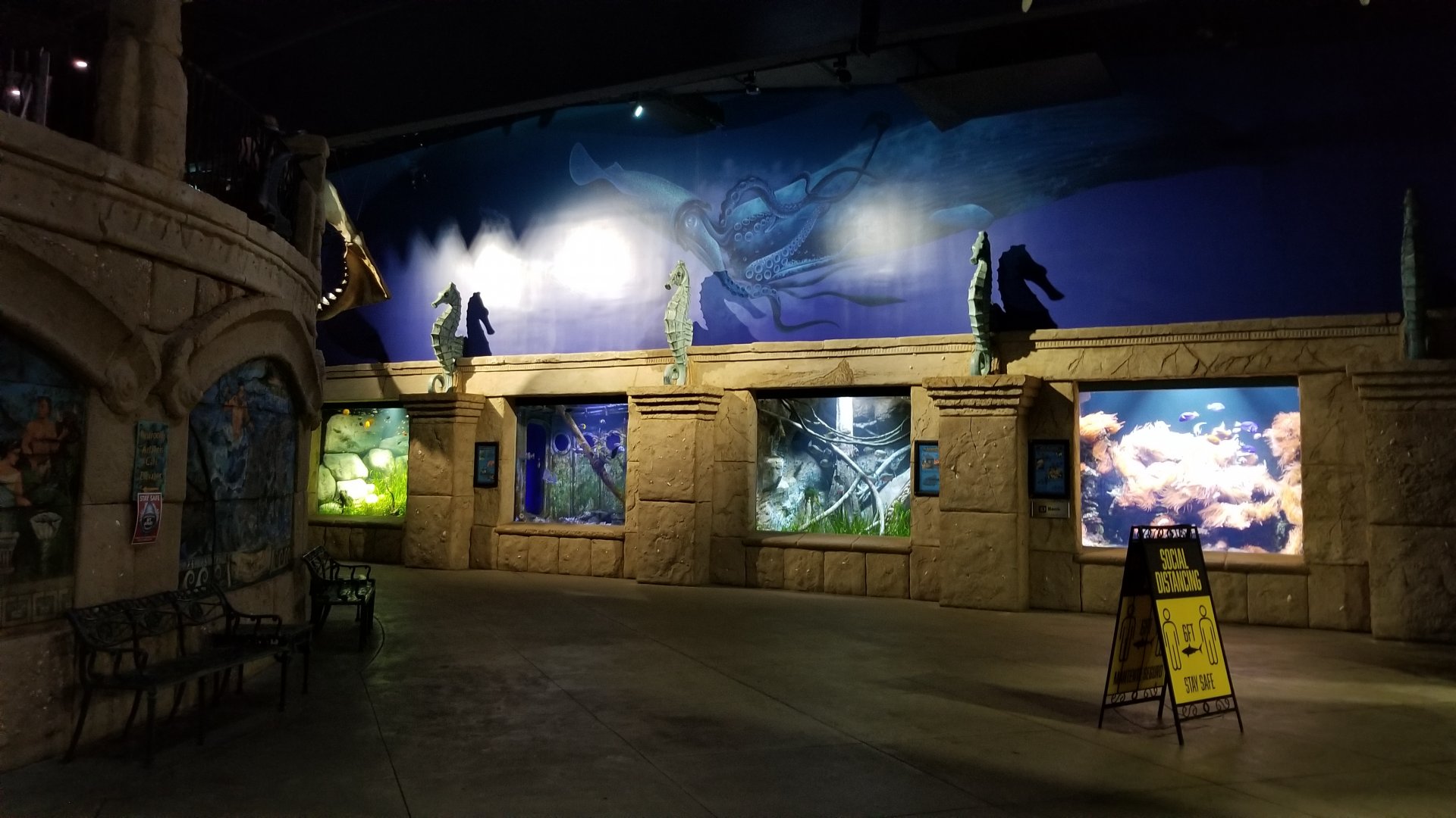 Long Island Aquarium - First 4 exhibits (r-l best buddies, piranha, shipwrecks, discus)