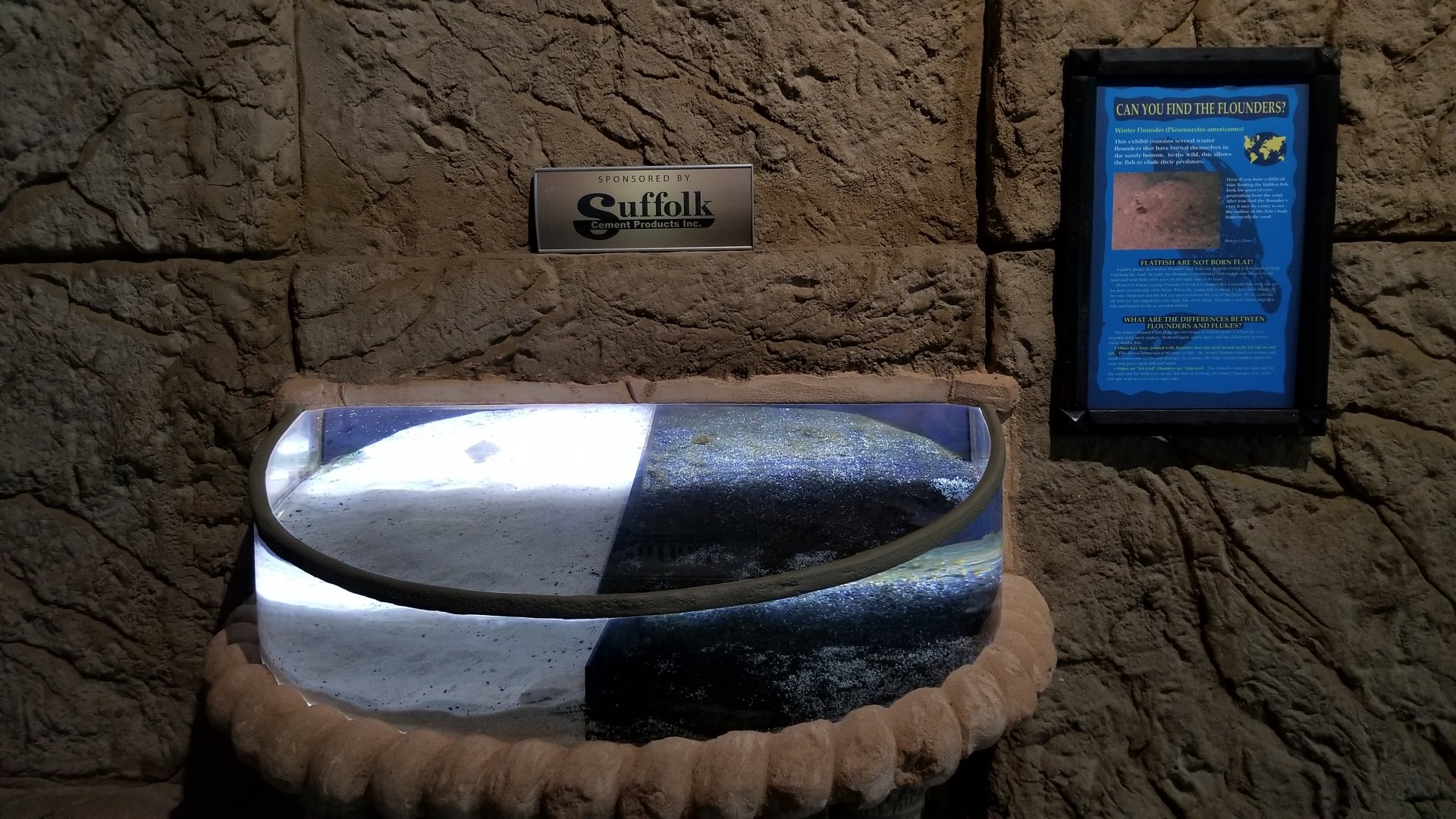 Long Island Aquarium - Flounder