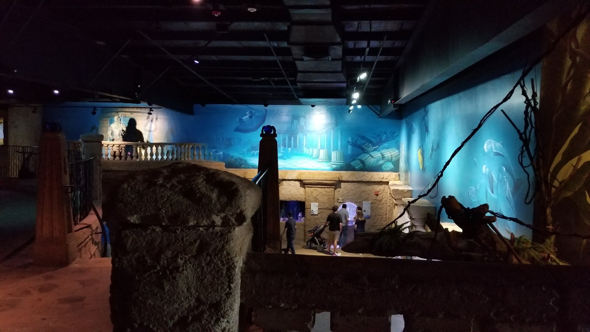 Long Island Aquarium - Form & Function, cuttlefish tanks from above