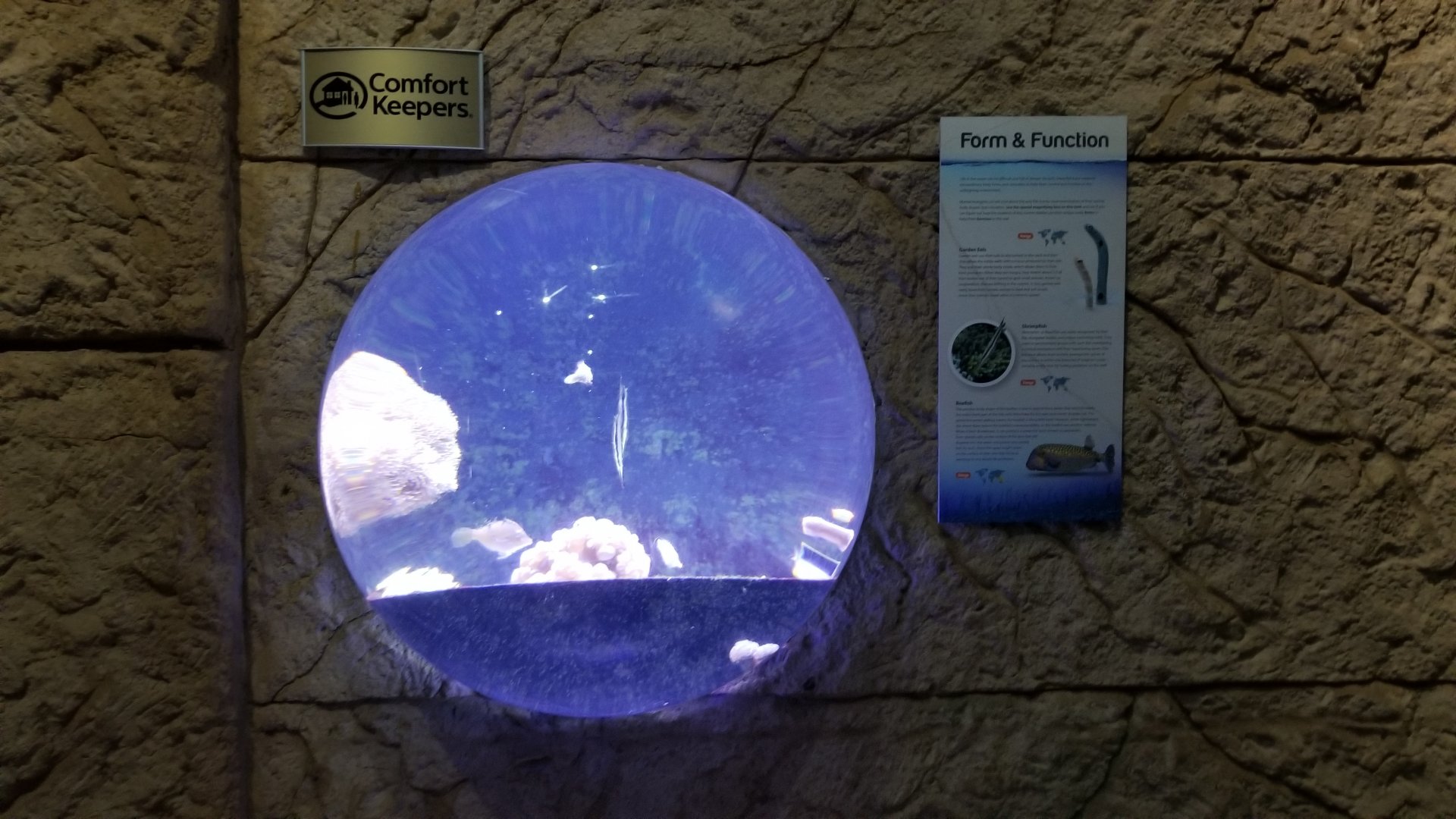 Long Island Aquarium - Form & Function tank