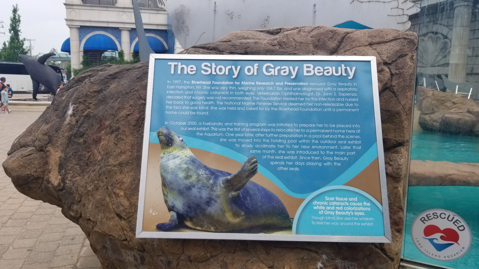 Long Island Aquarium - Gray seal sign