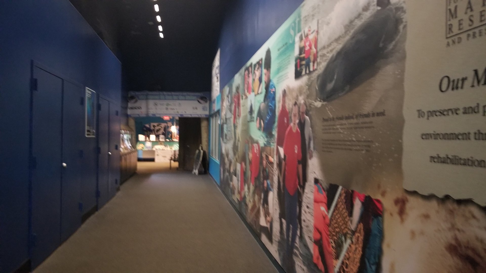 Long Island Aquarium - Hallway to exit