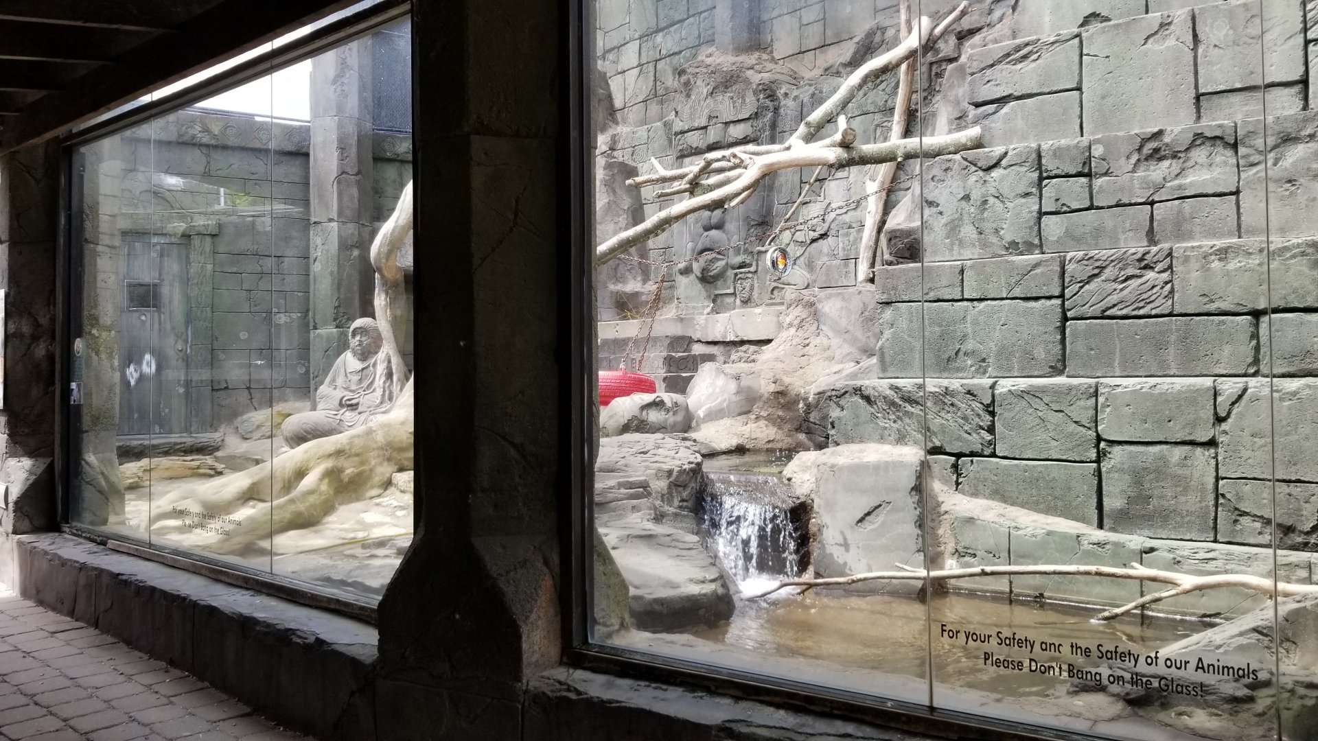 Long Island Aquarium - Japanese macaques