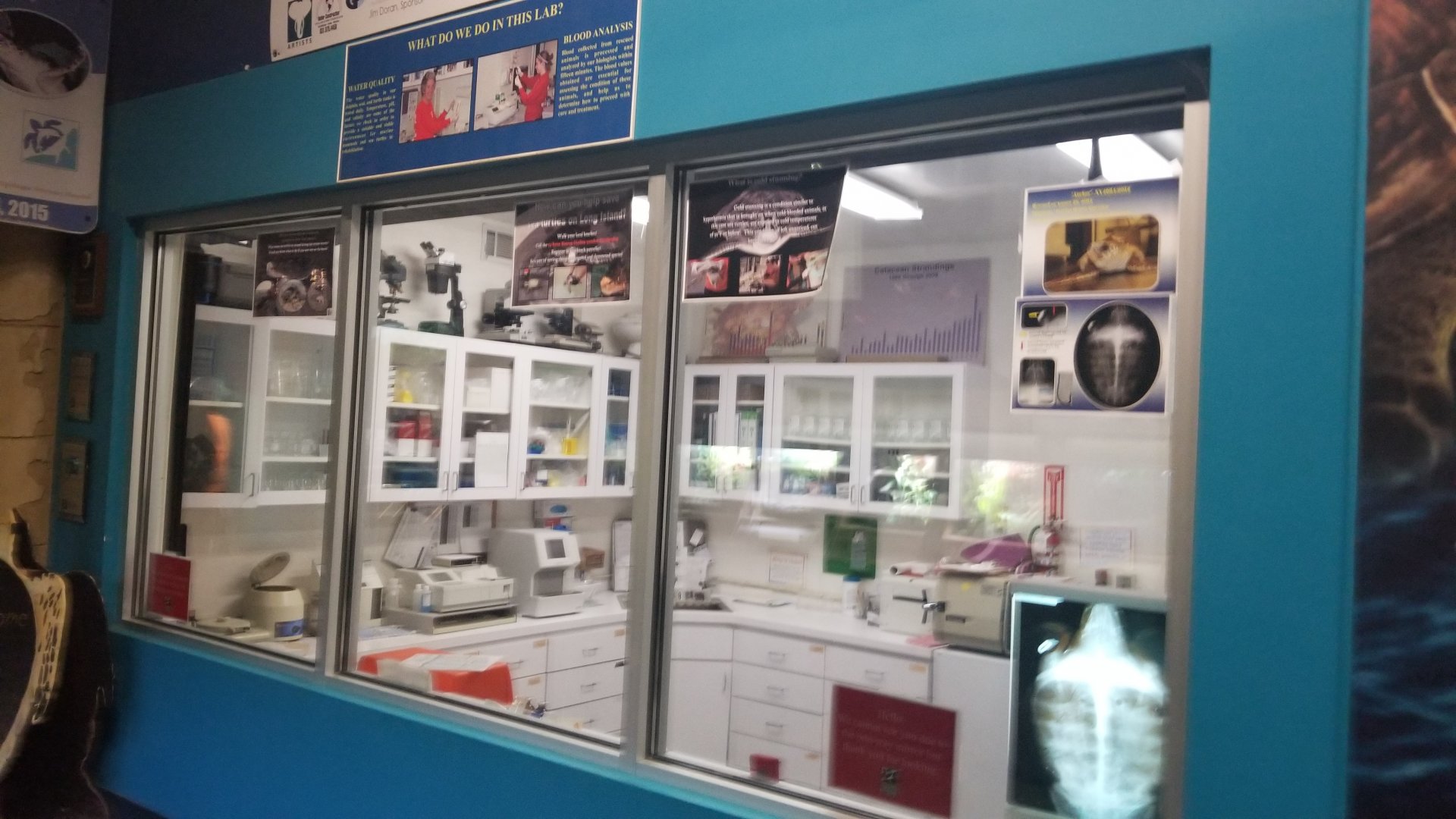 Long Island Aquarium - Lab room