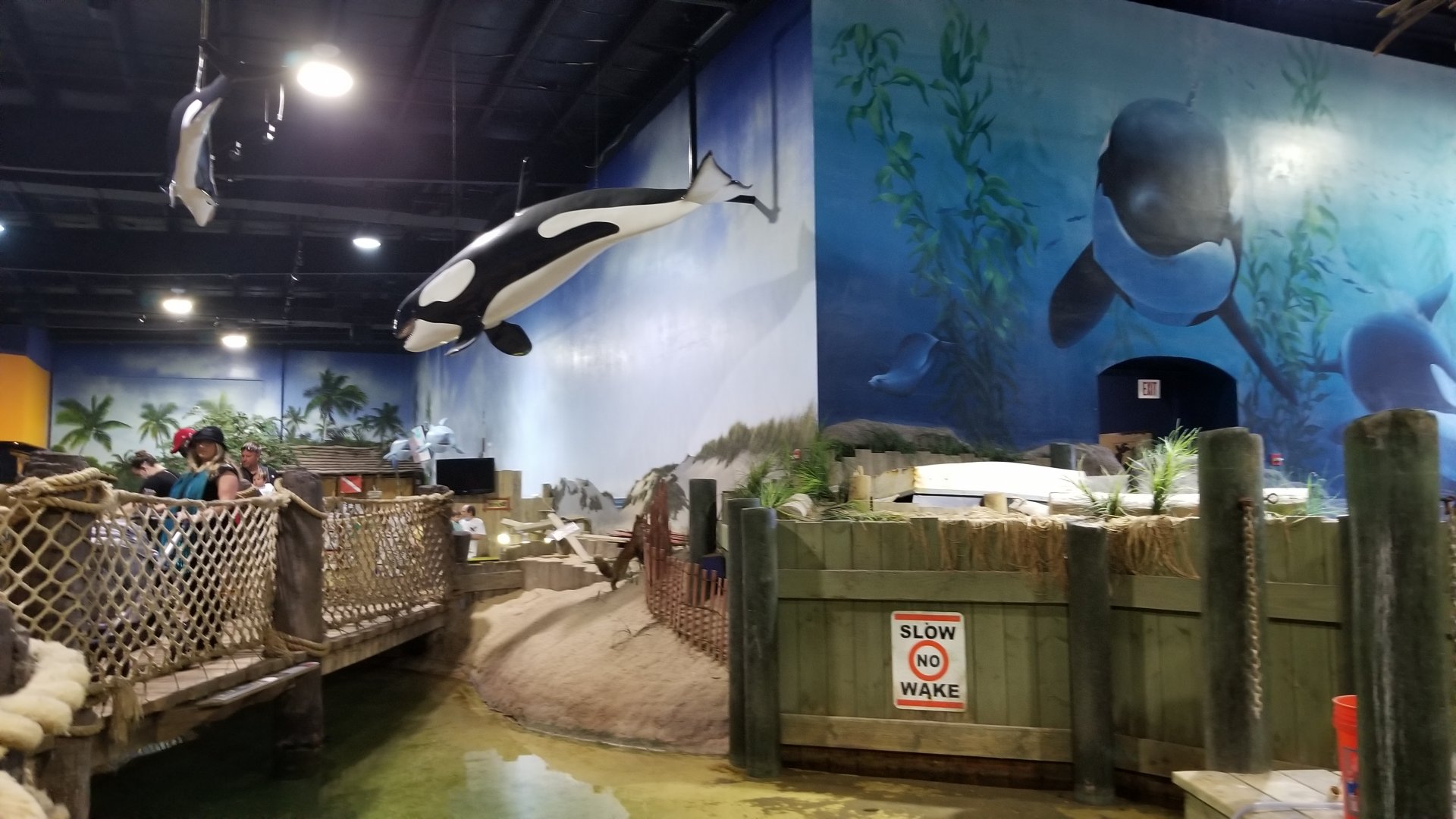Long Island Aquarium - Lagoon, looking back to turtles
