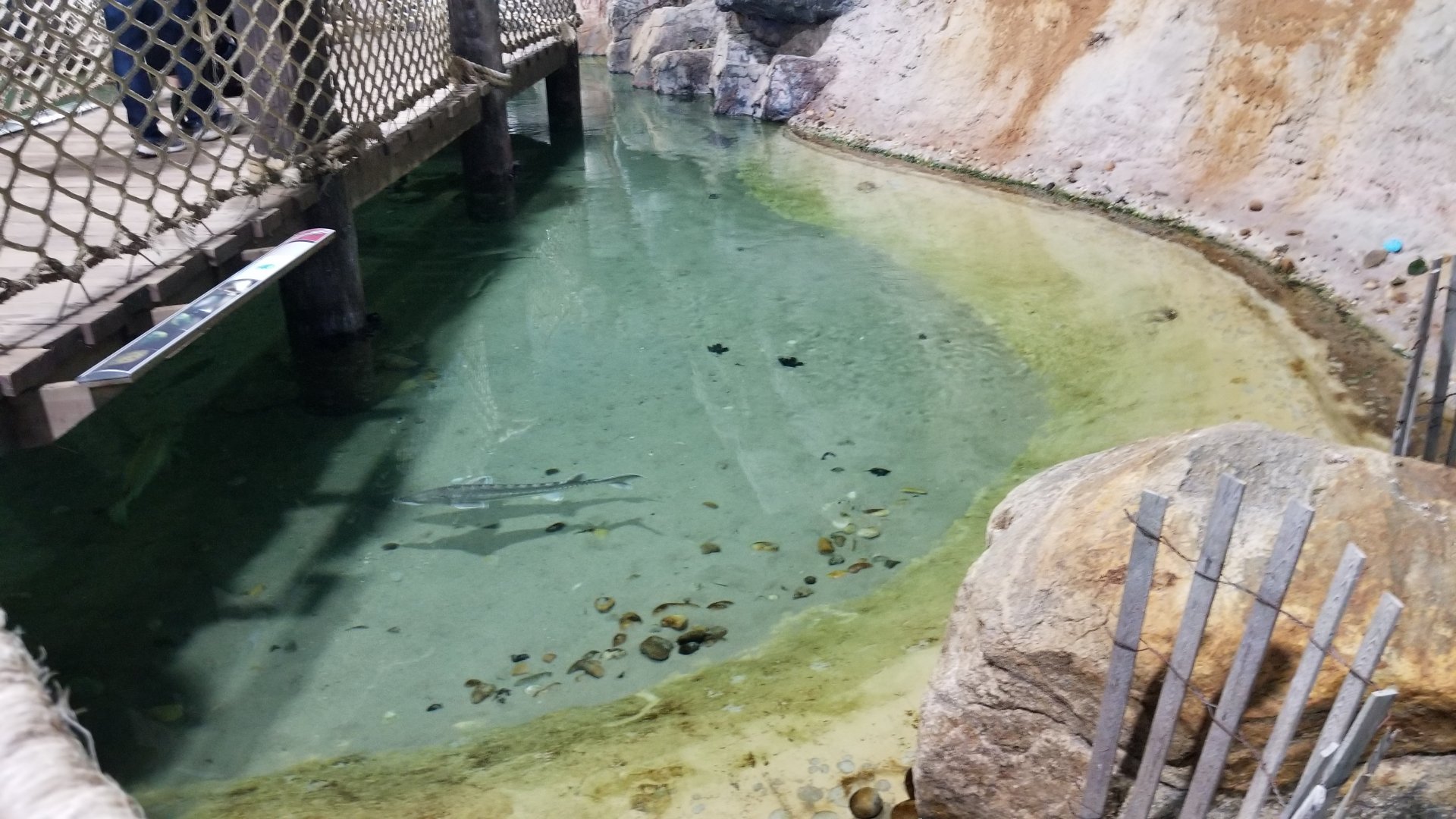 Long Island Aquarium - Lagoon