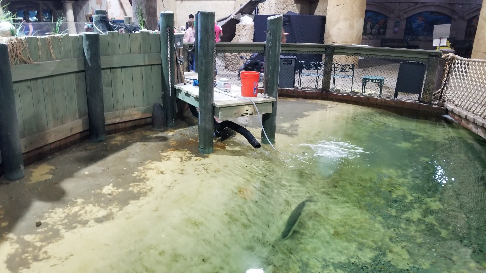 Long Island Aquarium - Lagoon