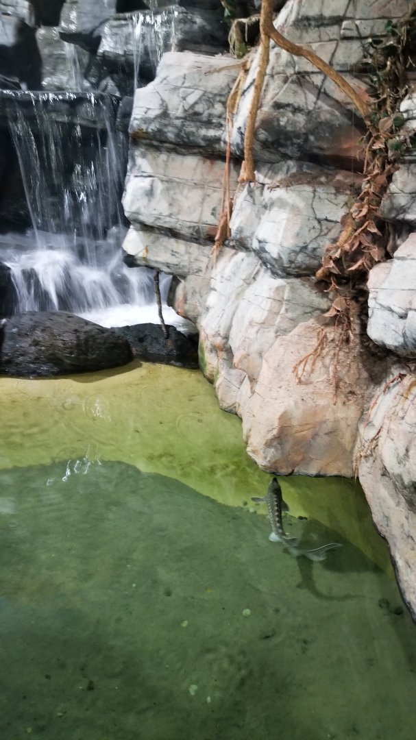 Long Island Aquarium - Lagoon