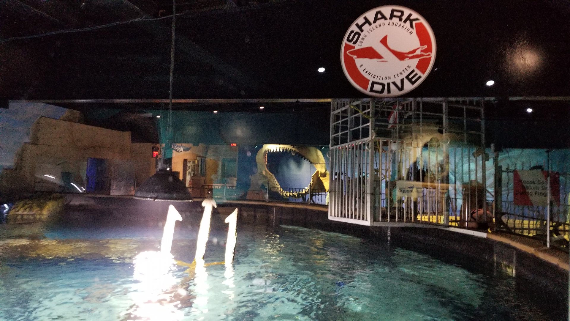 Long Island Aquarium - Lost City of Atlantis shark exhibit from above
