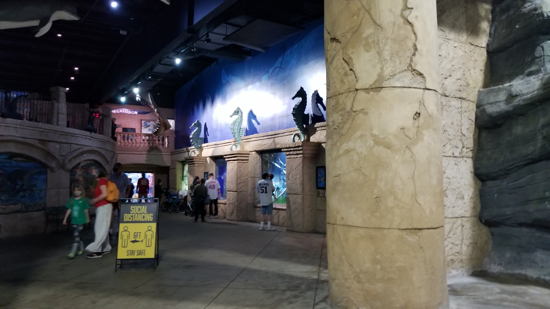 Long Island Aquarium - Main atlantis room
